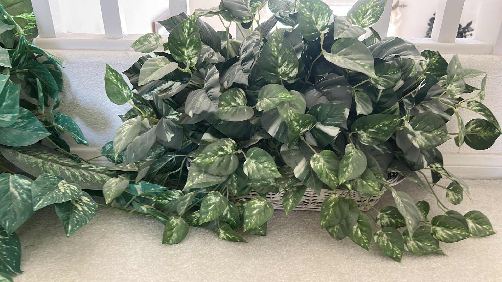 Photo 3 of FAUX GREENERY IN WICKER BASKETS (LARGEST 3’ x H19”