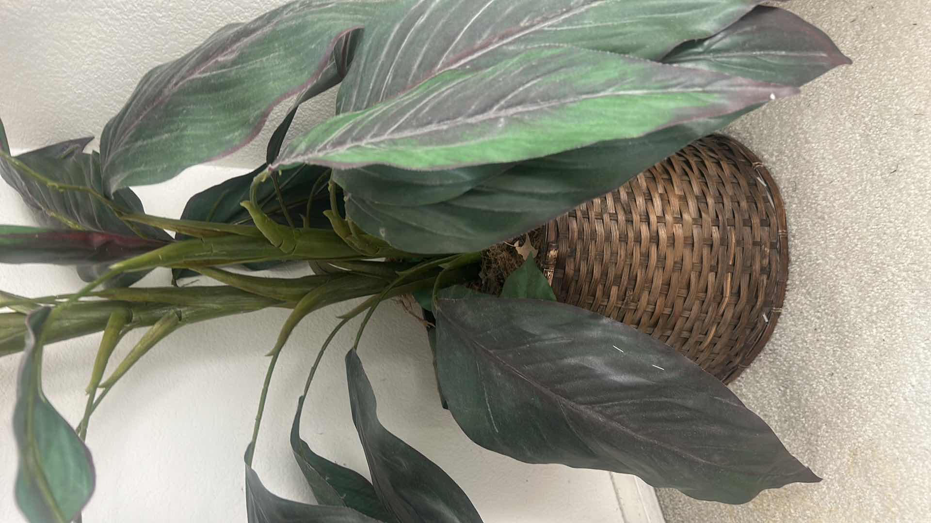 Photo 1 of FAUX GREENERY IN WICKER BASKET H42”