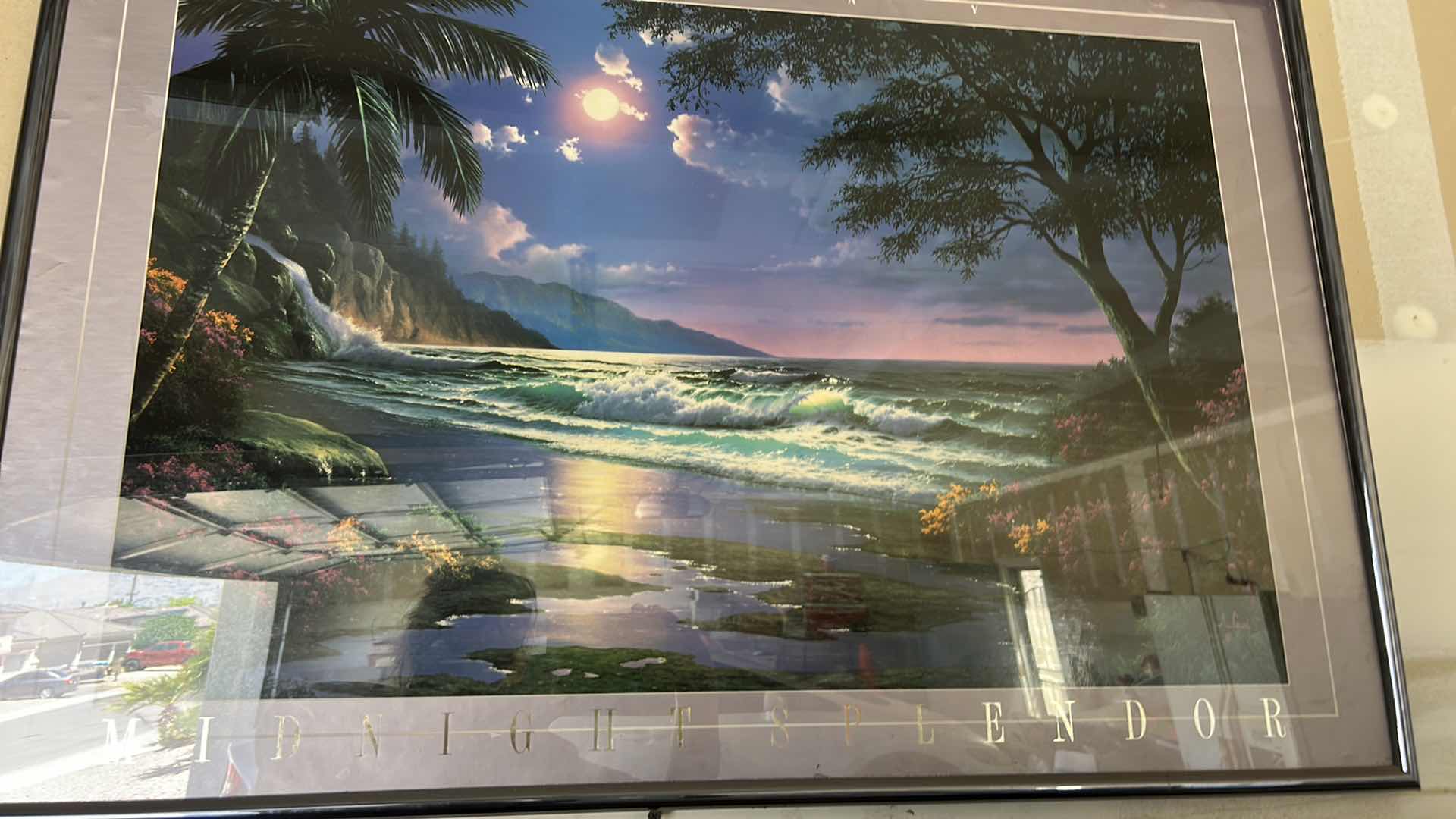 Photo 1 of FRAMED MIDNIGHT SPLENDOR ARTWORK 37” x 25”