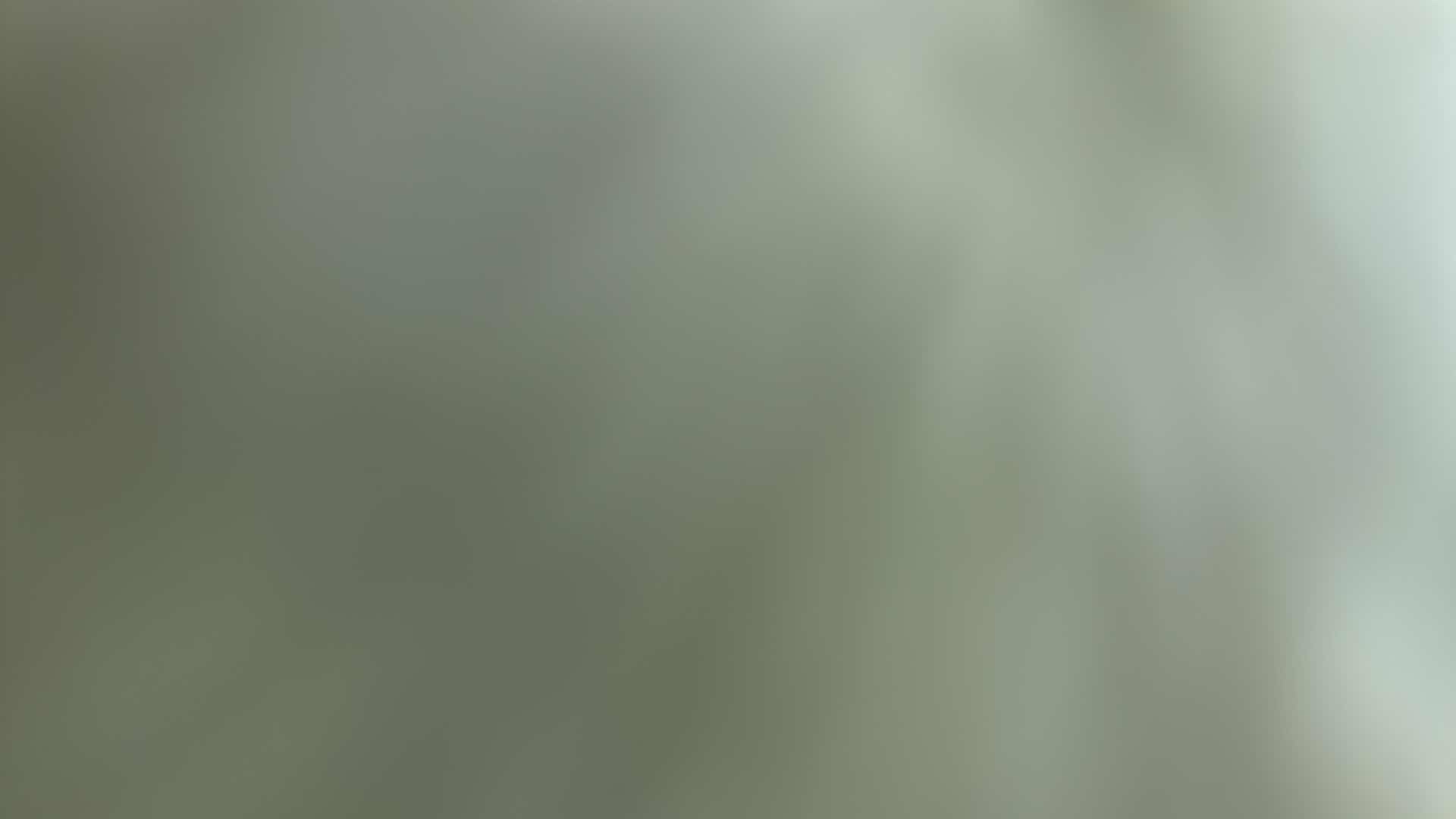 Photo 1 of BRUNSWICK ROLLING BOWLING CASE AND BOWLING BALL