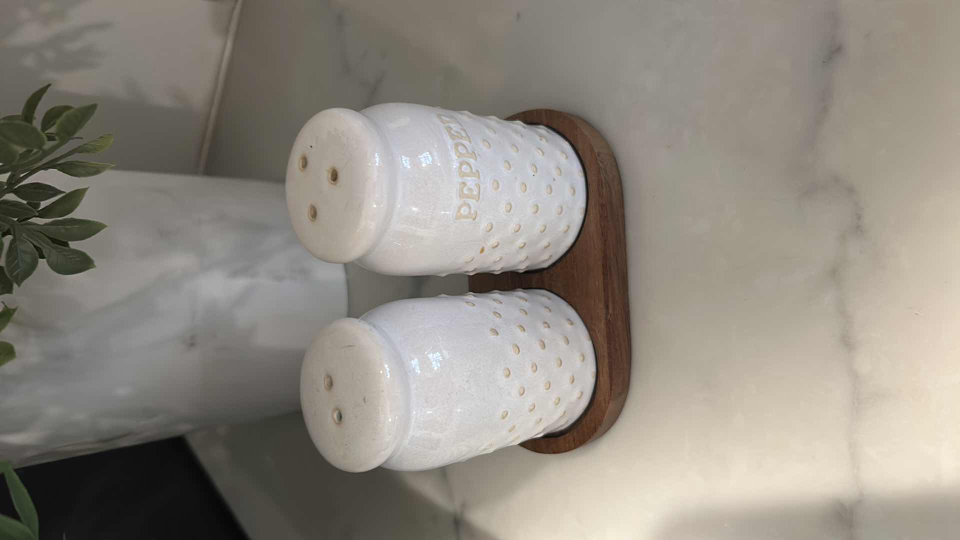 Photo 3 of 2- FAUX GREENERY WHITE SALT PEPPER SET