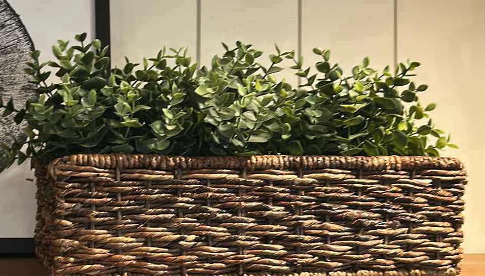 Photo 1 of FAUX GREENERY IN RATAN BASKET BLACK FRAMED ART