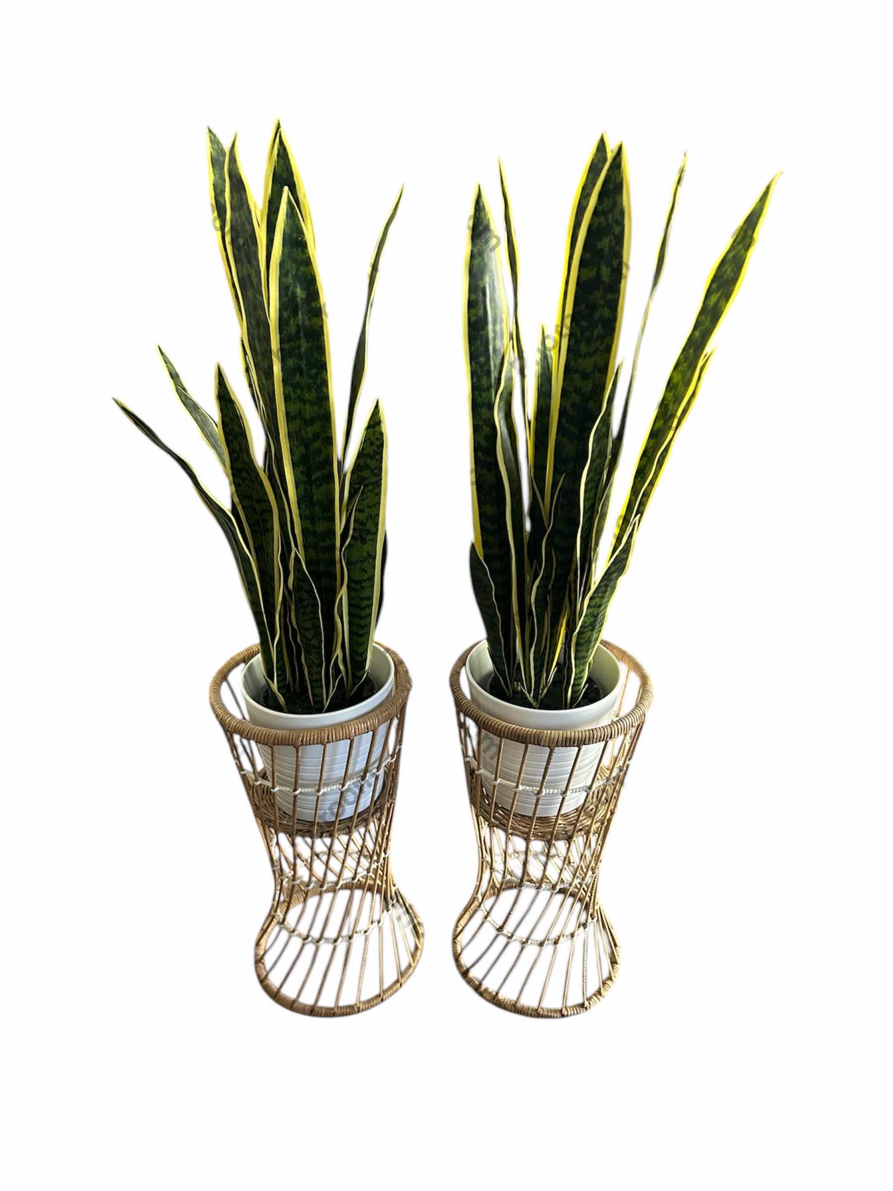 Photo 1 of 2- FAUX PLANTS IN A RATAN STAND H 24”