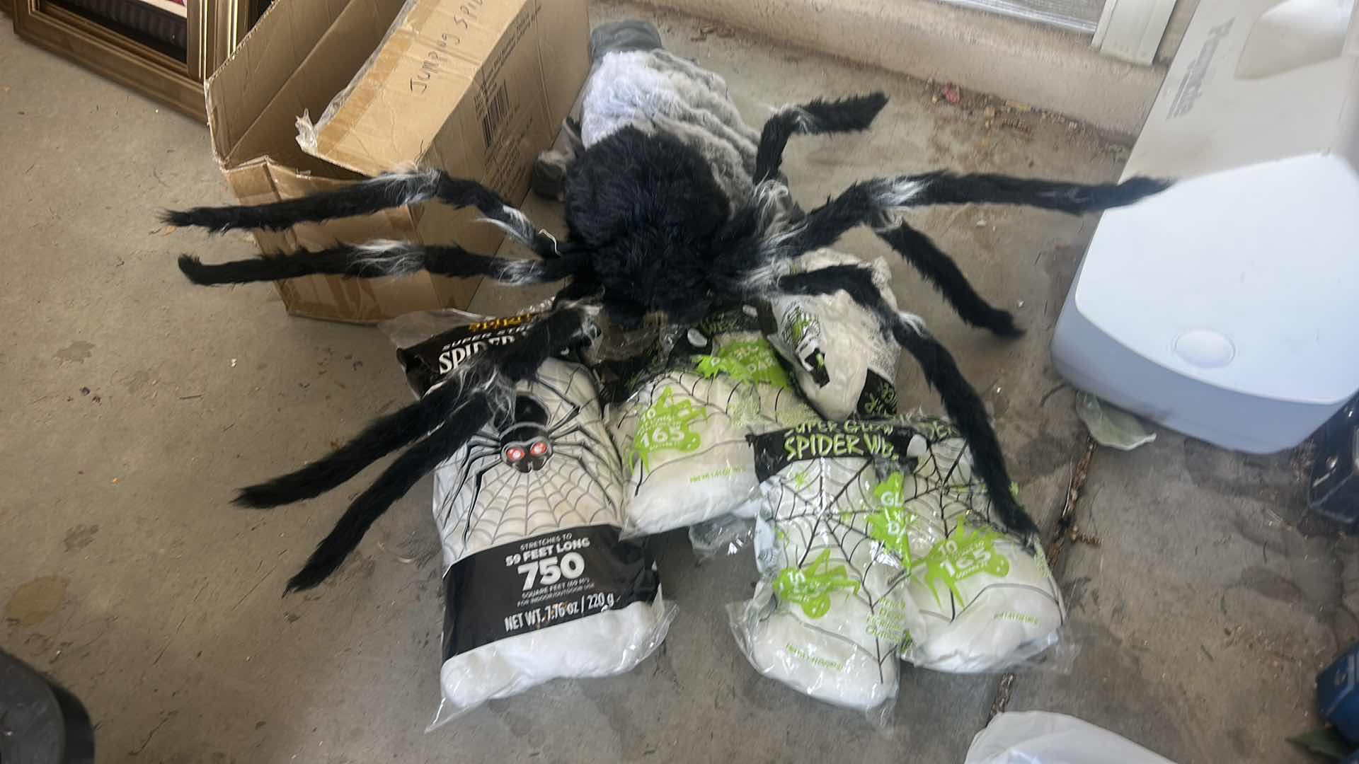 Photo 1 of ANIMATED JUMPING SPIDER WITH WEBBING