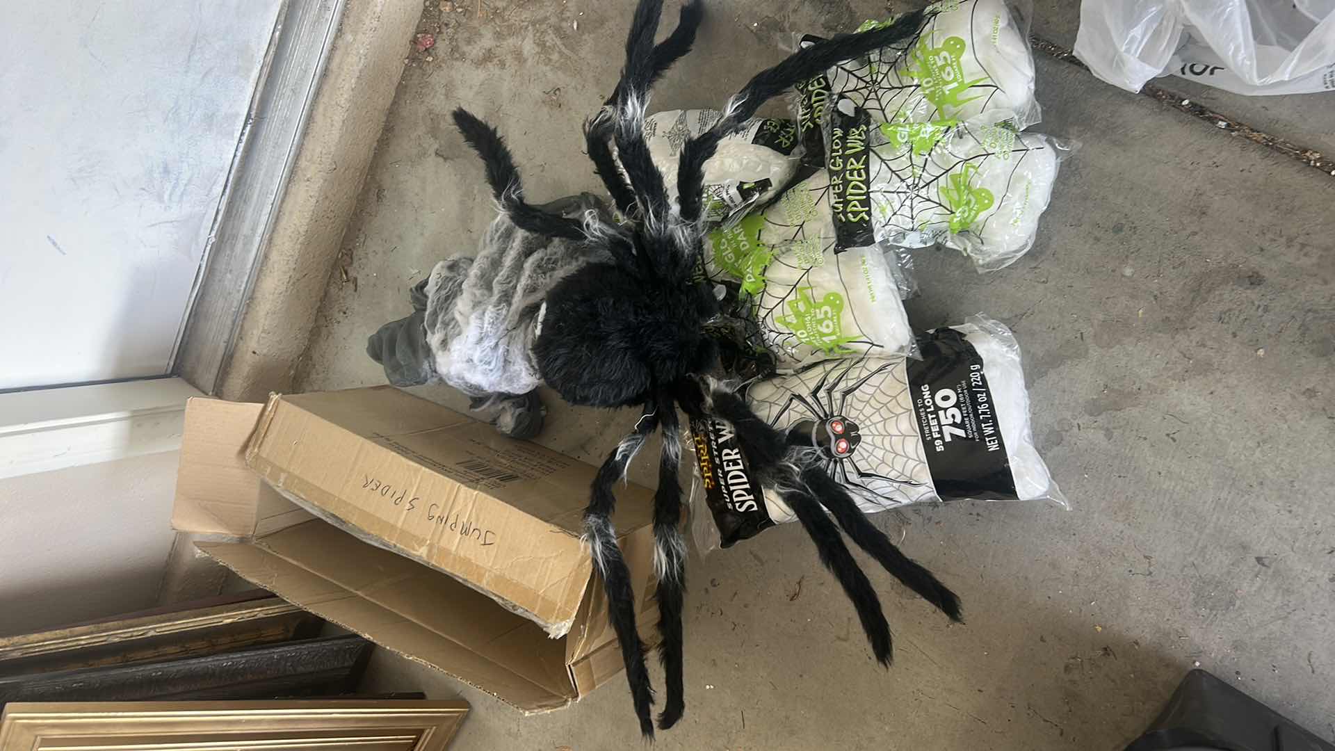 Photo 1 of ANIMATED JUMPING SPIDER WITH WEBBING