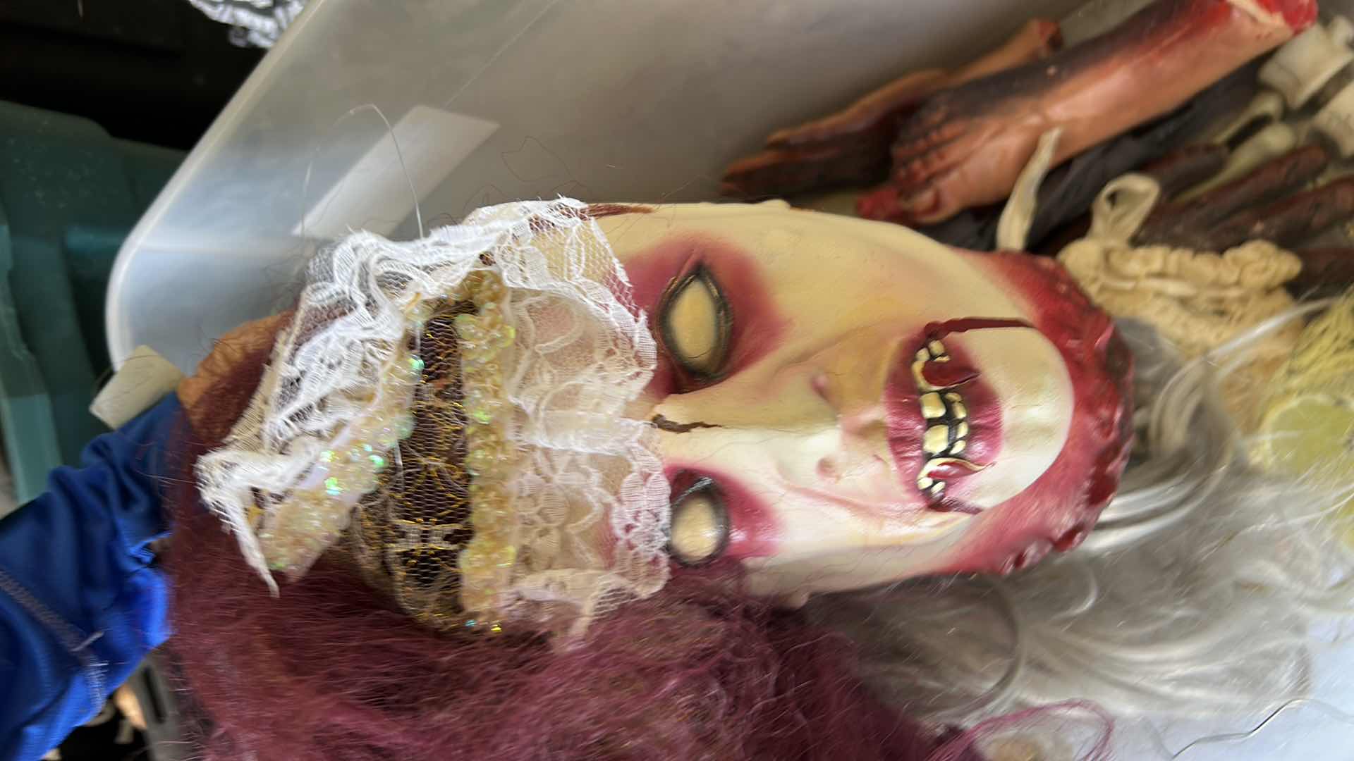 Photo 1 of BOX & TOTE - SCARY HALLOWEEN DECORATIONS