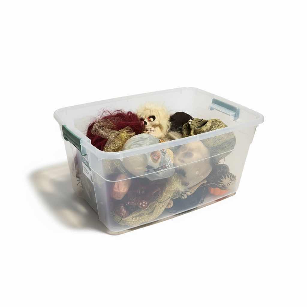 Photo 1 of BOX & TOTE - SCARY HALLOWEEN DECORATIONS