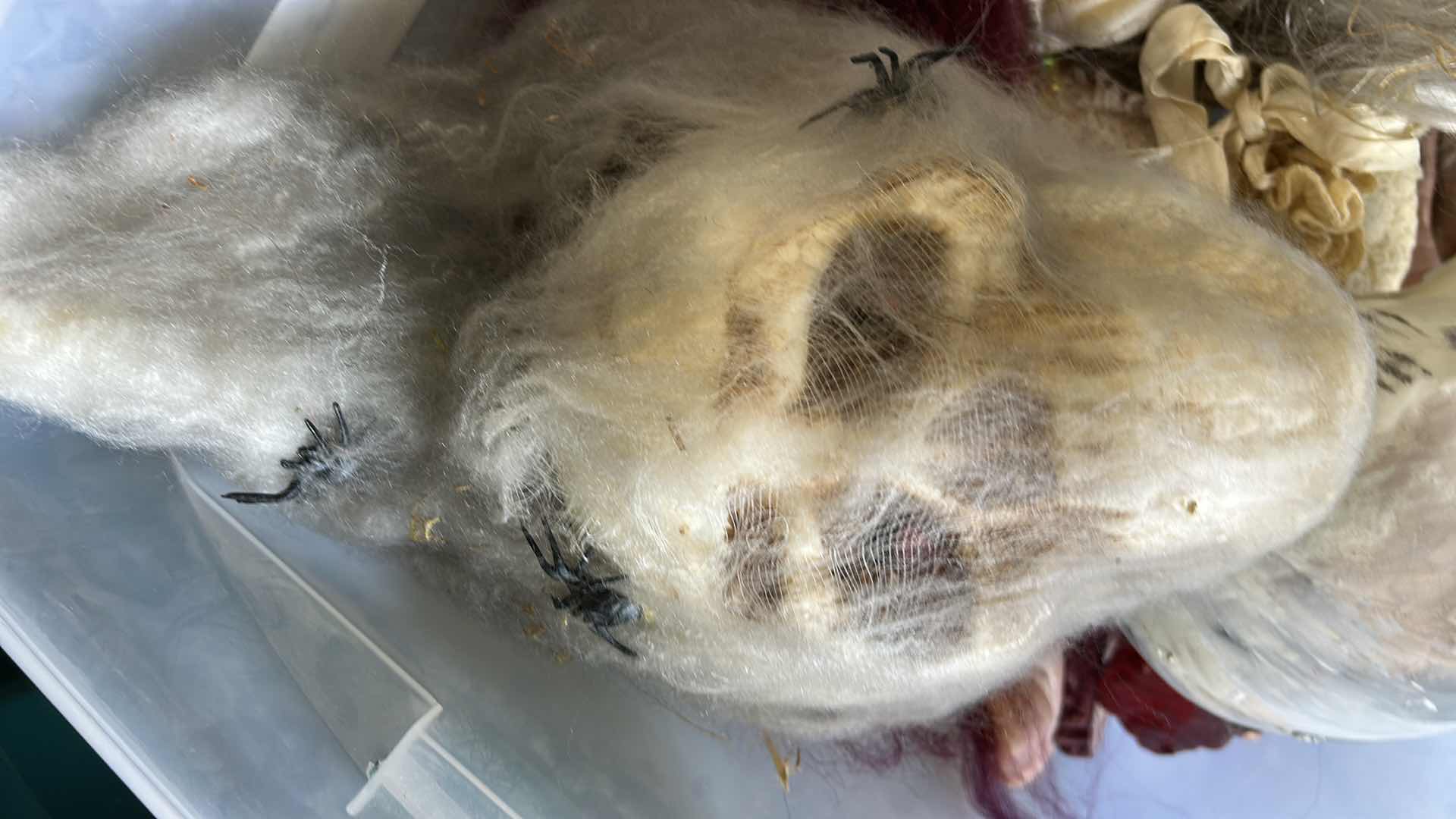 Photo 1 of BOX & TOTE - SCARY HALLOWEEN DECORATIONS