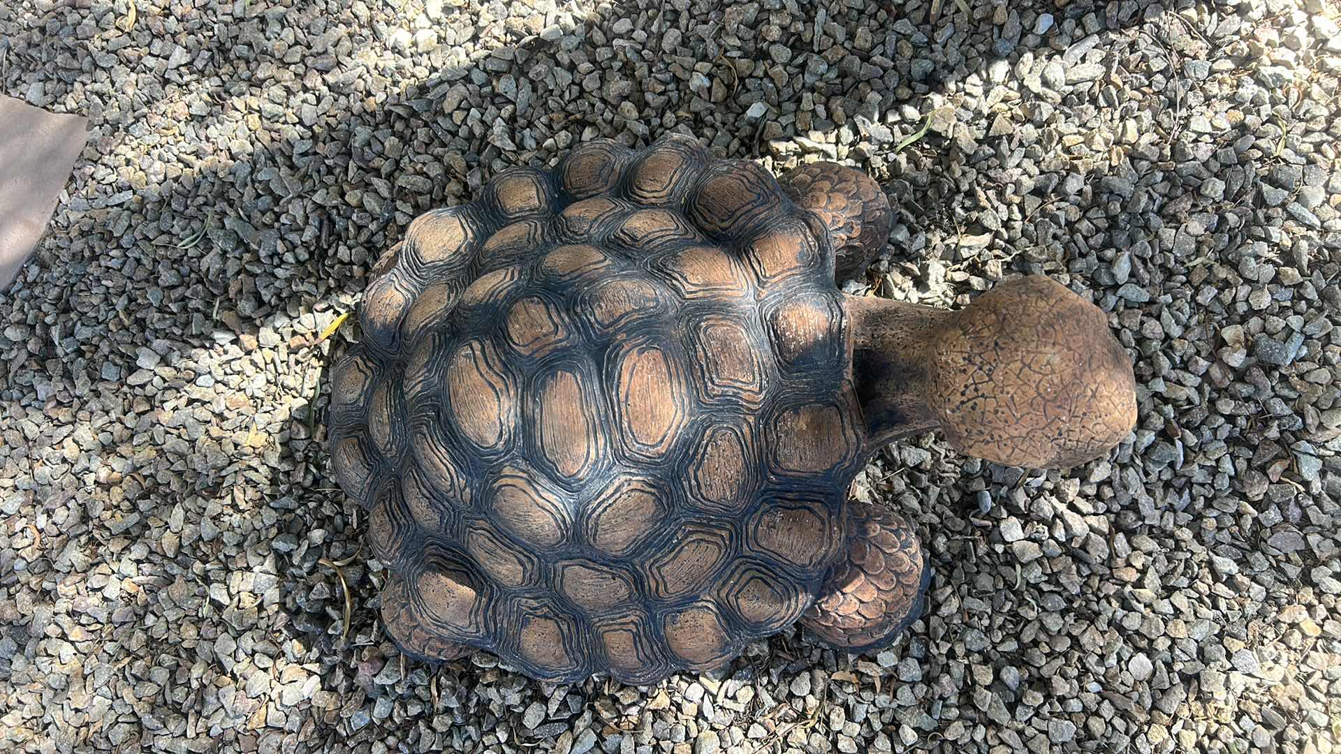 Photo 1 of VERY HEAVY OUTDOOR CONCRETE TURTLE 25” x 17” x H13”