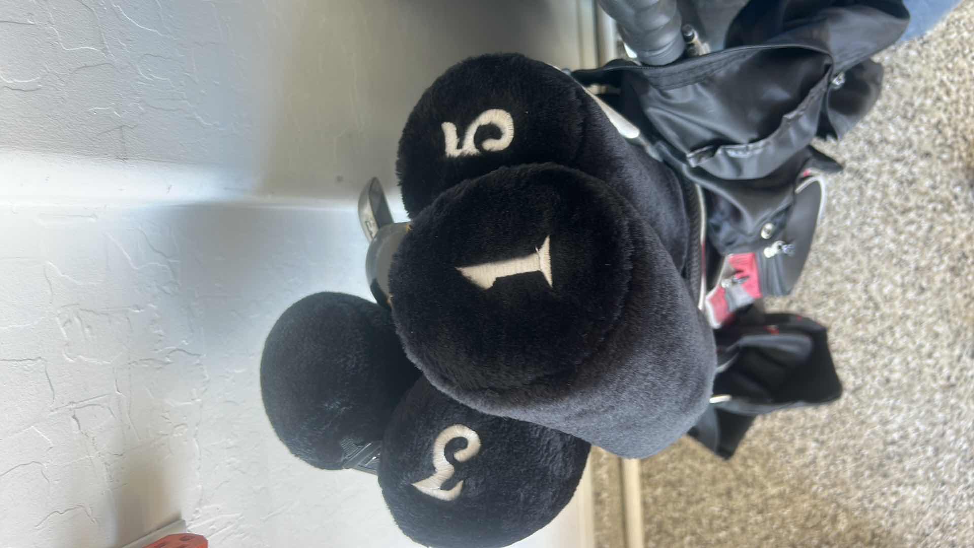 Photo 1 of GOLF CLUBS AND GOLF BAG