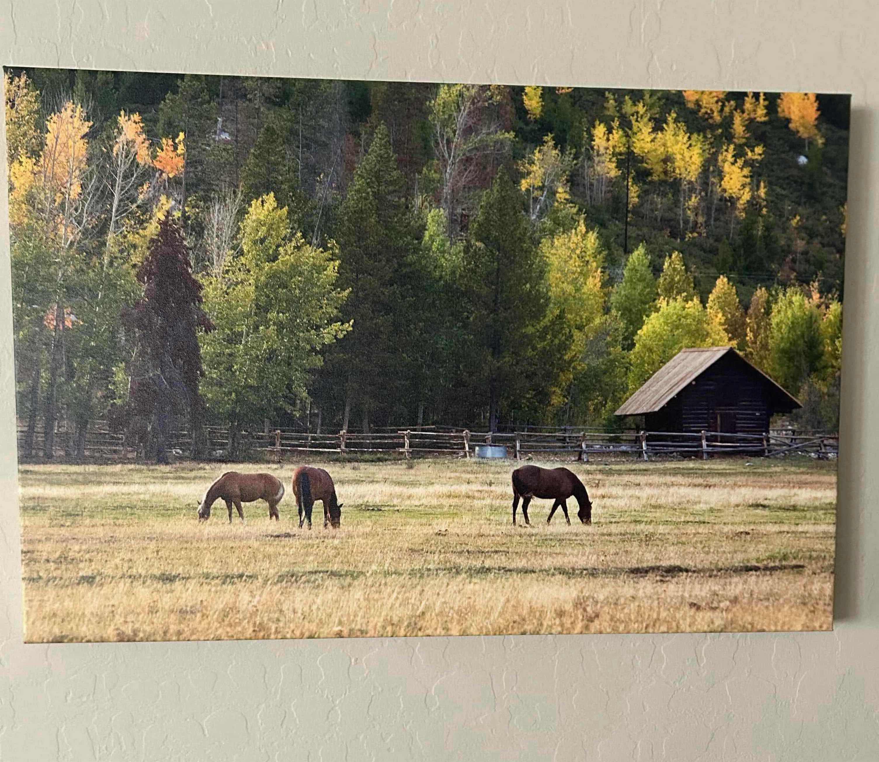 Photo 1 of UNFRAMED "HORSES AND FALL COLOR IN JACKSON HOLE " WALL ART30" X 24"
