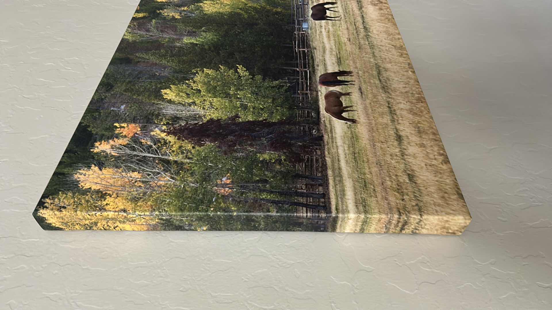 Photo 1 of UNFRAMED "HORSES AND FALL COLOR IN JACKSON HOLE " WALL ART30" X 24"