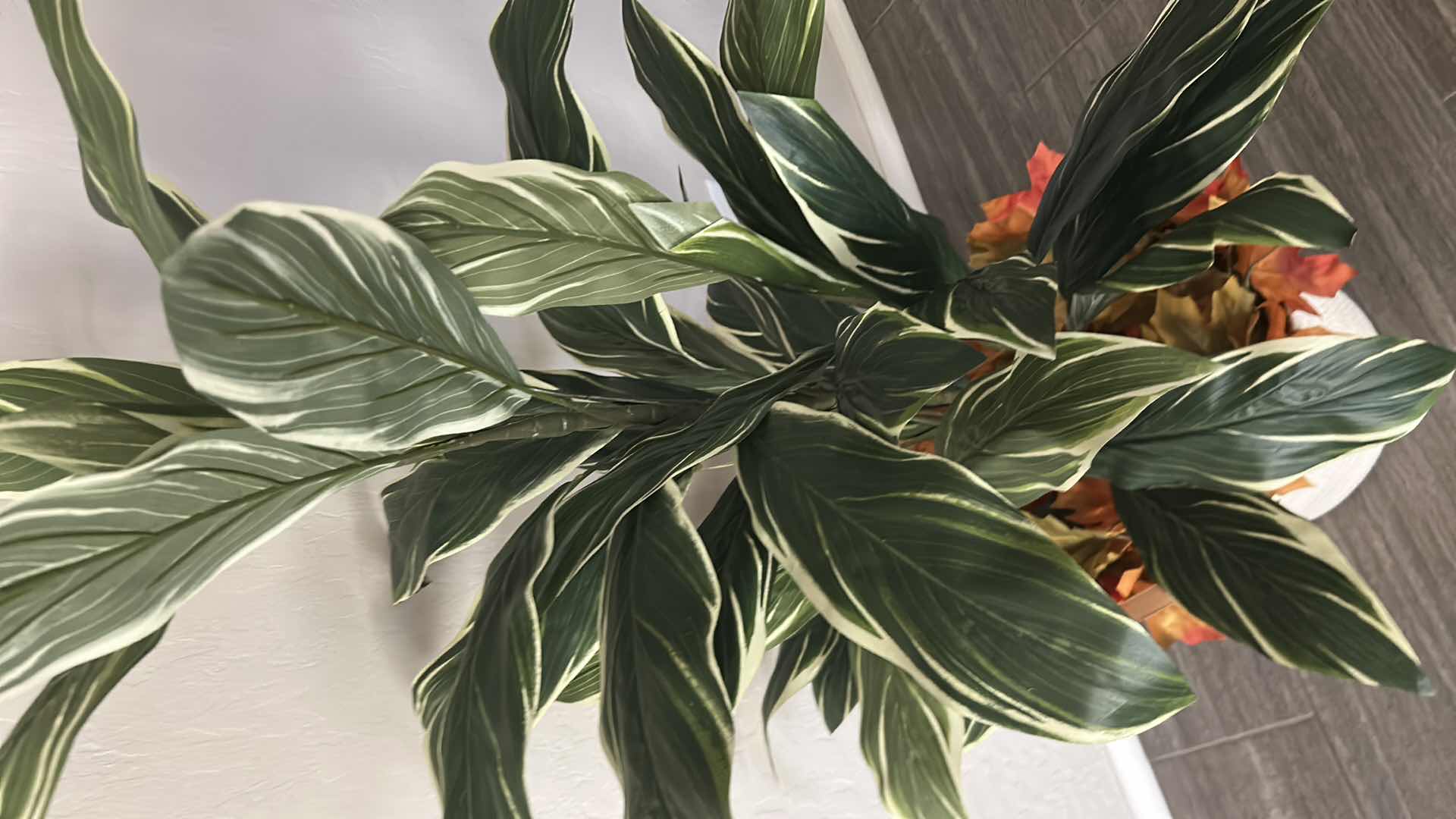 Photo 1 of FAUX DUMB CANE PLANT IN  WHITE BASKET H 52"