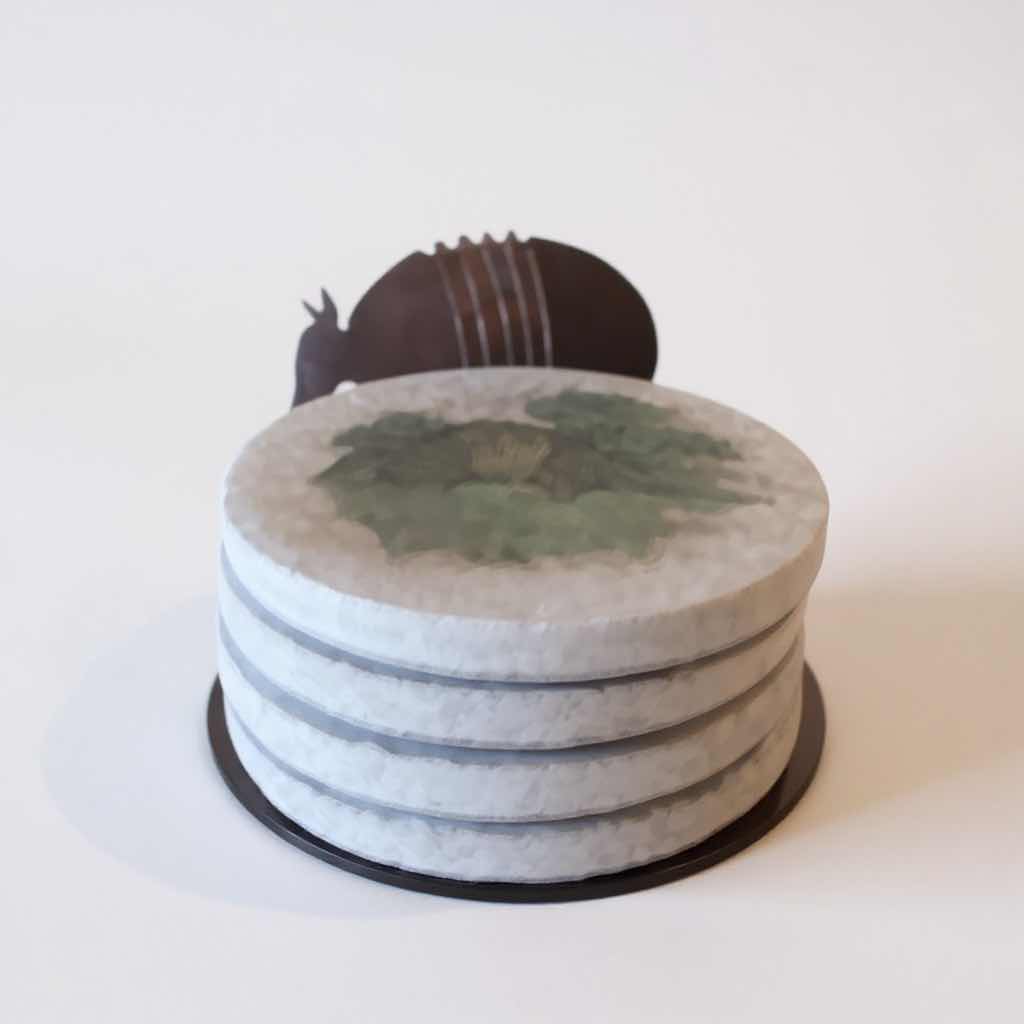 Photo 1 of ARMADILLO 4 PC COASTER SET