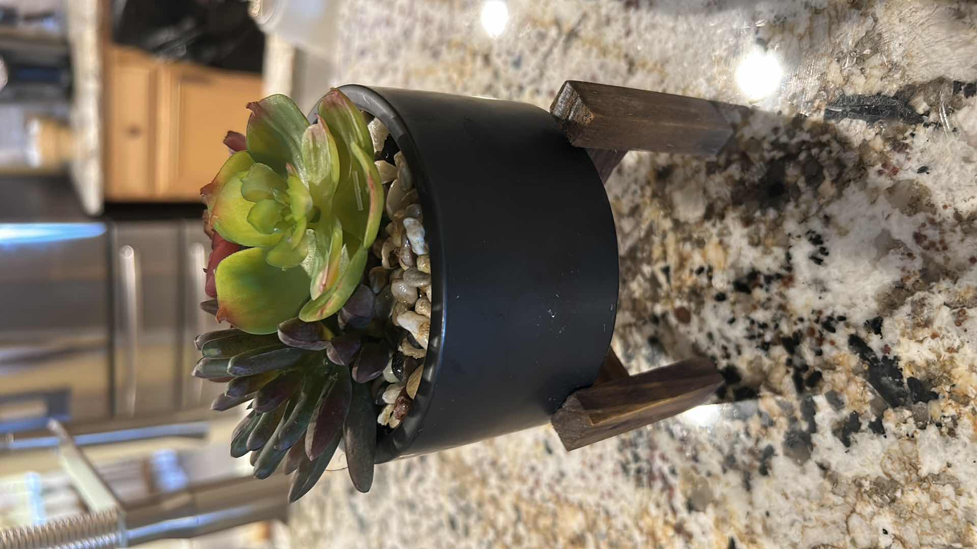 Photo 1 of 4 FAUX SUCCULENTS HOME DECOR PIECES. H6”