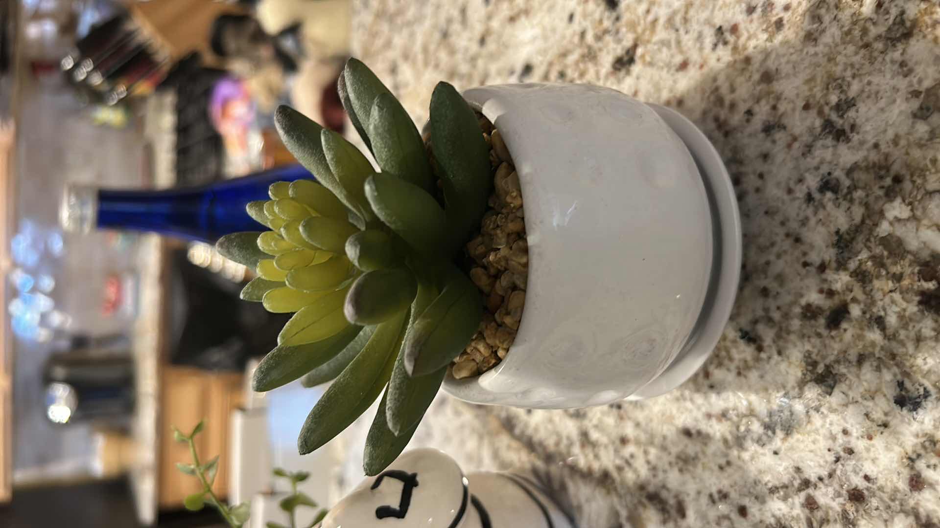 Photo 1 of 4 FAUX SUCCULENTS HOME DECOR PIECES. H6”