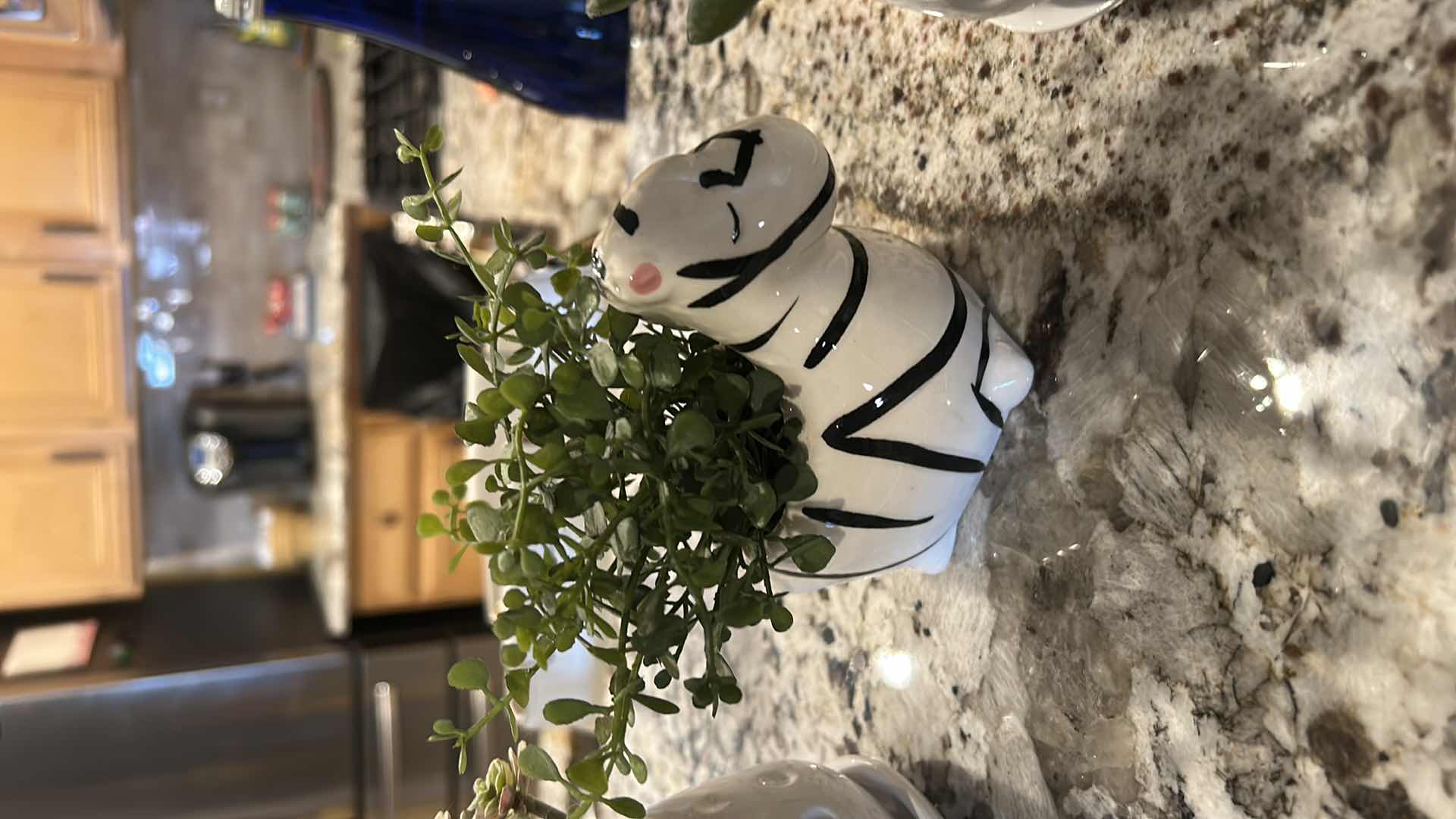 Photo 1 of 4 FAUX SUCCULENTS HOME DECOR PIECES. H6”