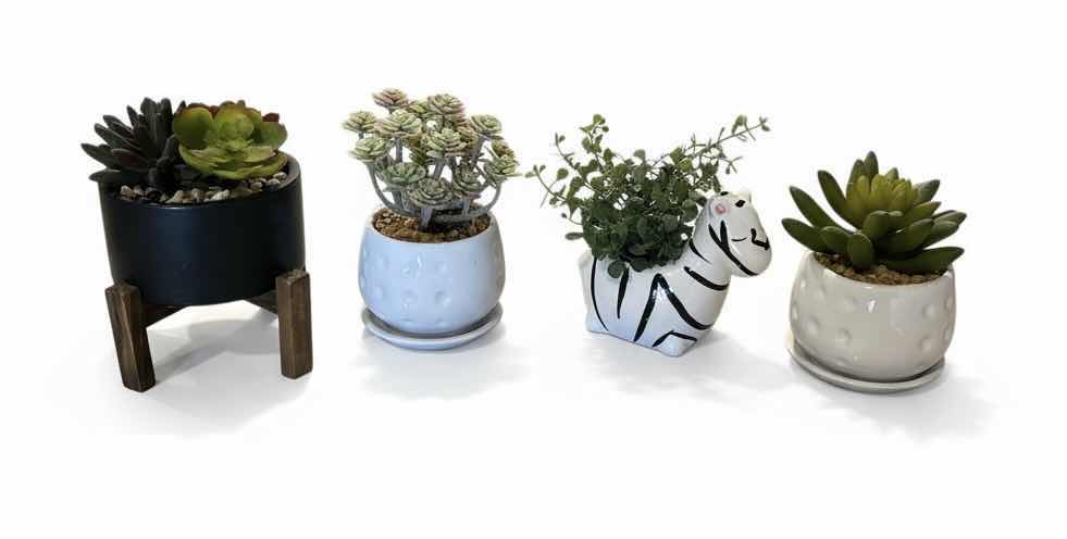 Photo 1 of 4 FAUX SUCCULENTS HOME DECOR PIECES. H6”