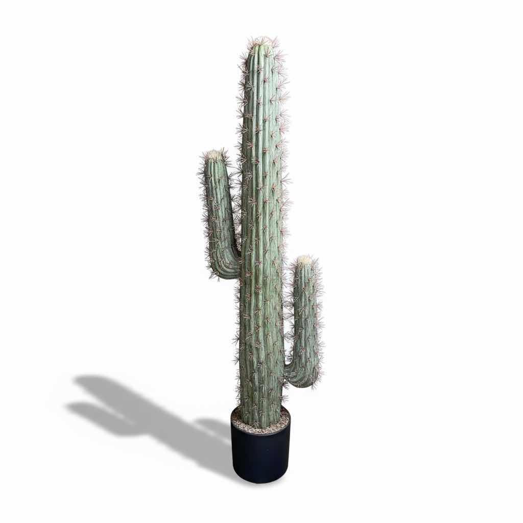 Photo 1 of ARIFICIAL SAGUARO CACTUS H48”