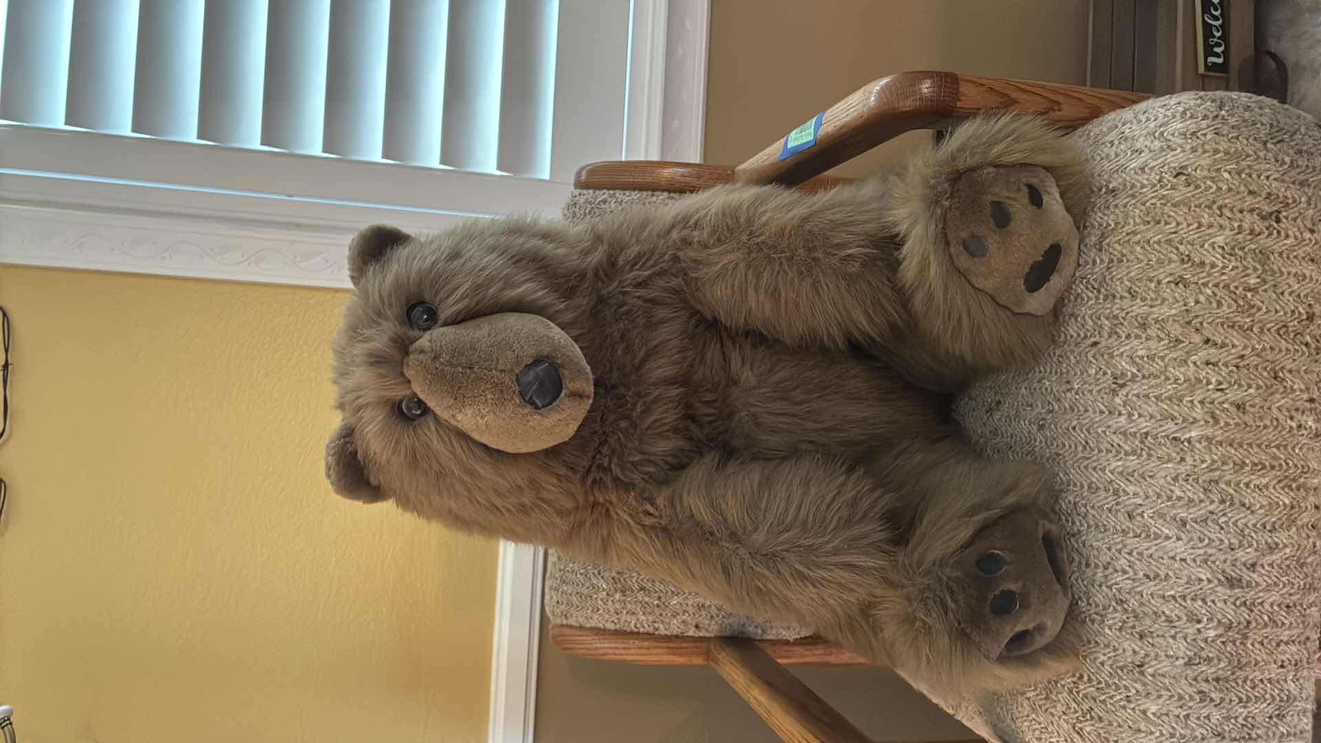 Photo 1 of COLLECTABLE PLUSH BEAR H20”