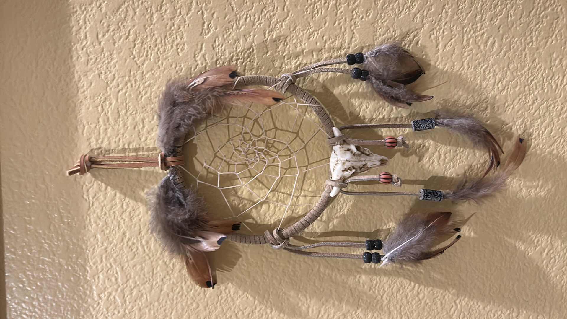 Photo 1 of DREAMCATCHER H13”