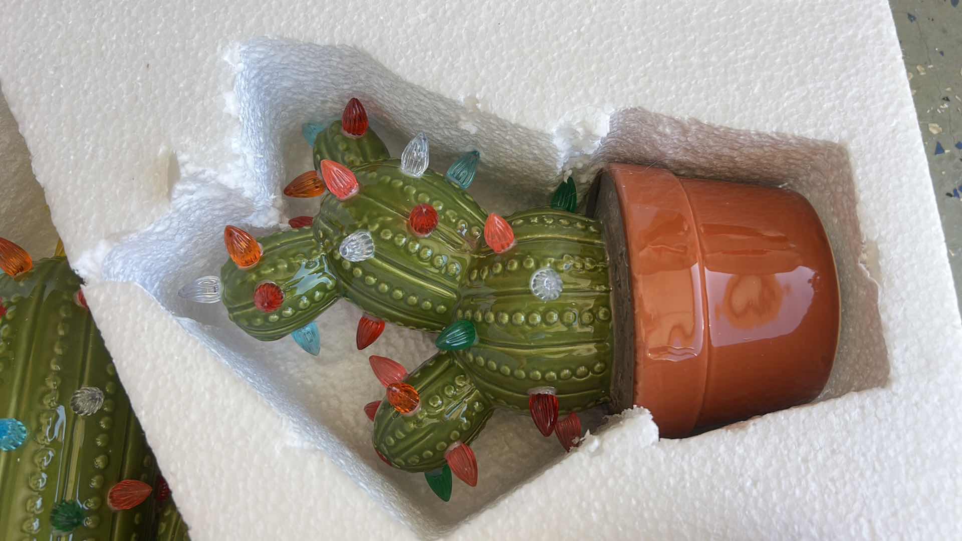 Photo 1 of 3 LIGHTED CHRISTMAS CACTI (TALLEST H 12”)