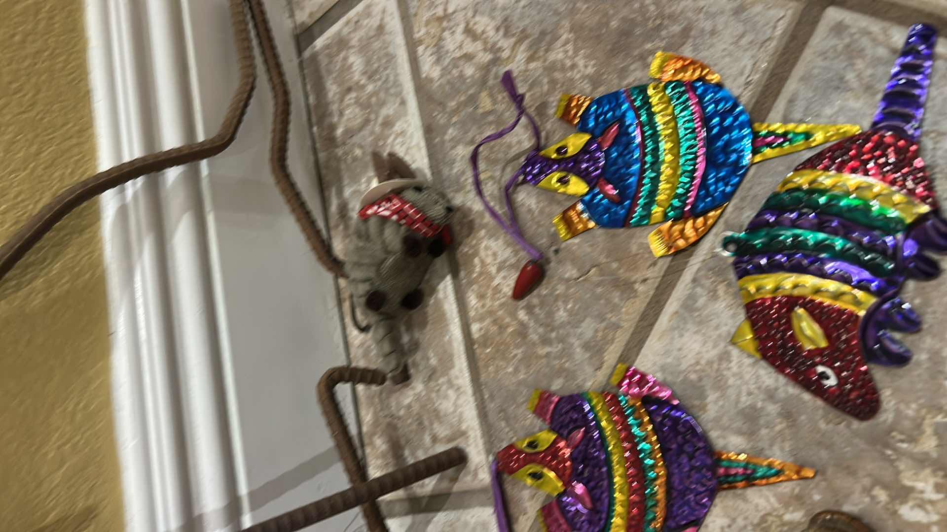 Photo 1 of ARMADILLO COLLECTION