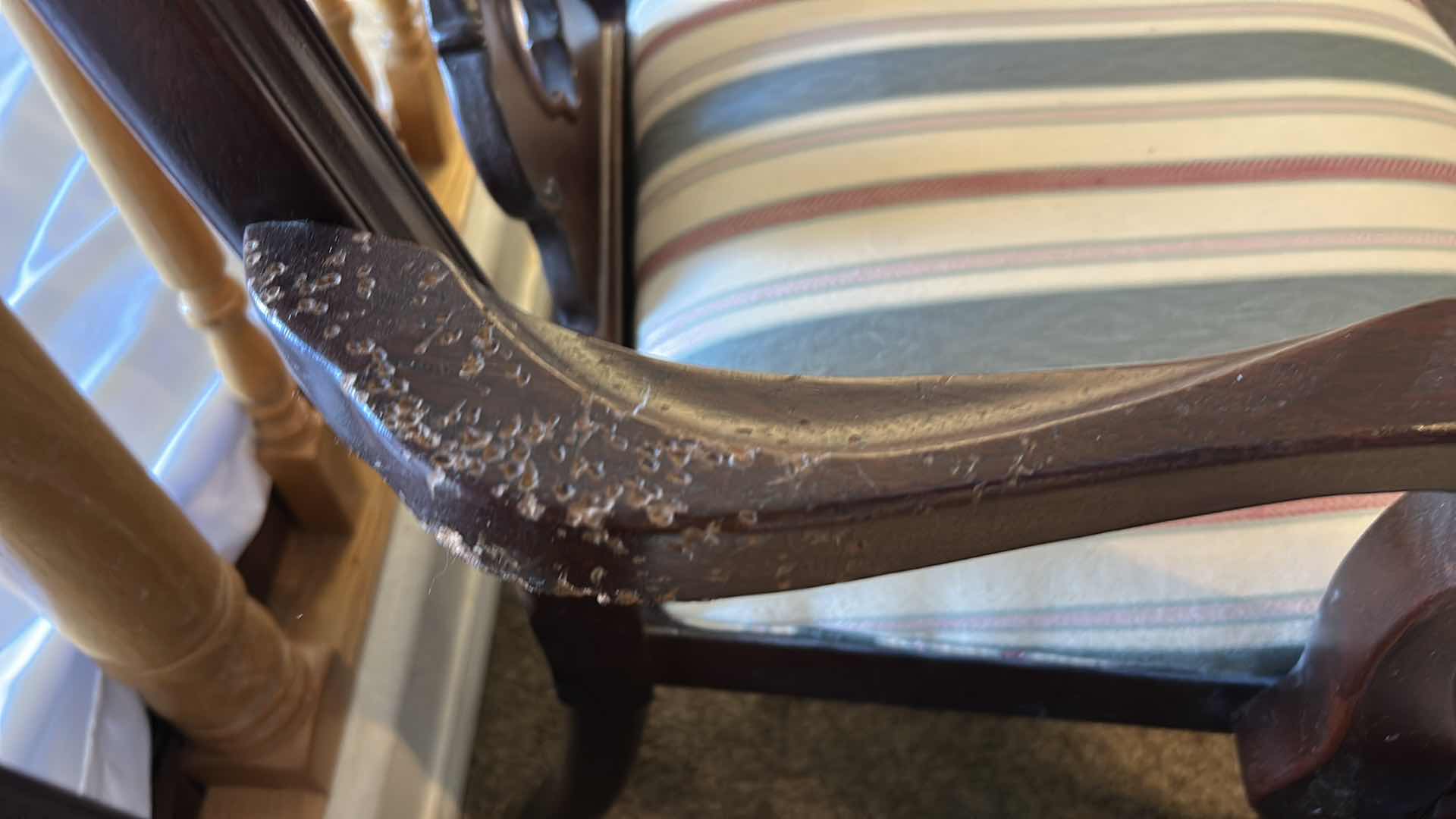 Photo 1 of THOMASVILLE CHIPPENDALE MAHOGANY ARM DINING CHAIR WITH BALL AND CLAW FEET
SIDE CHAIR 24” x 22” x H41”