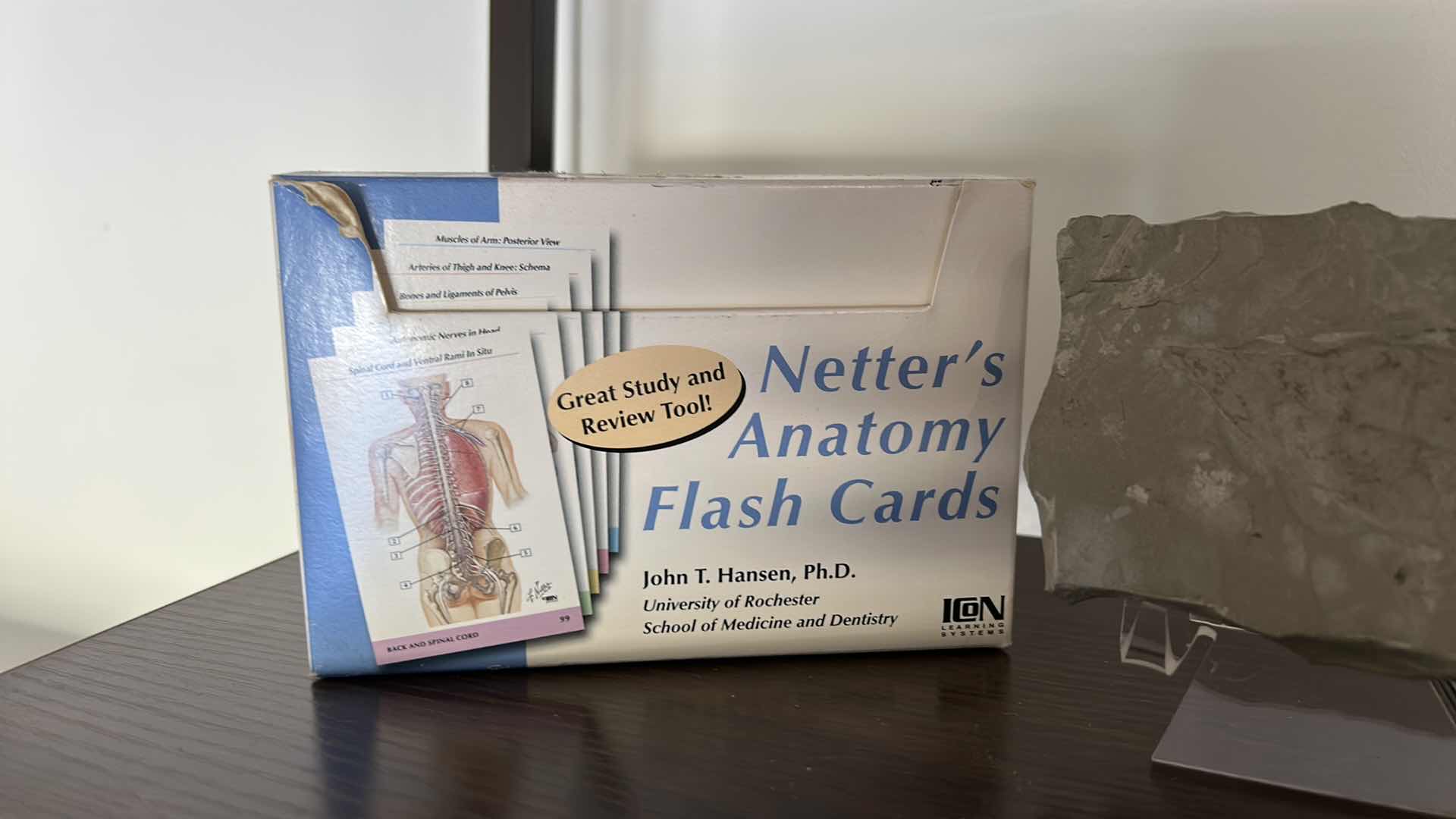 Photo 1 of FOSSIL AND NETTERS ANATOMY FLASH CARDS