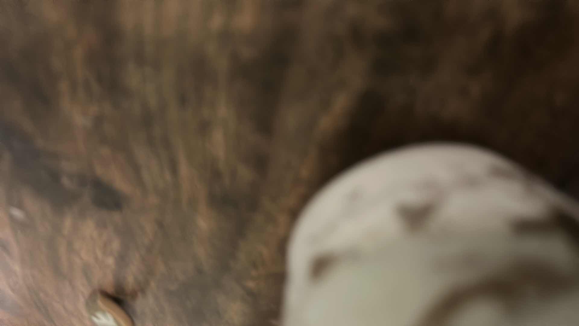 Photo 1 of LACE PANEL, 2 GOLD FRAMED ARTWORK PCS AND HOME DECOR ITEMS