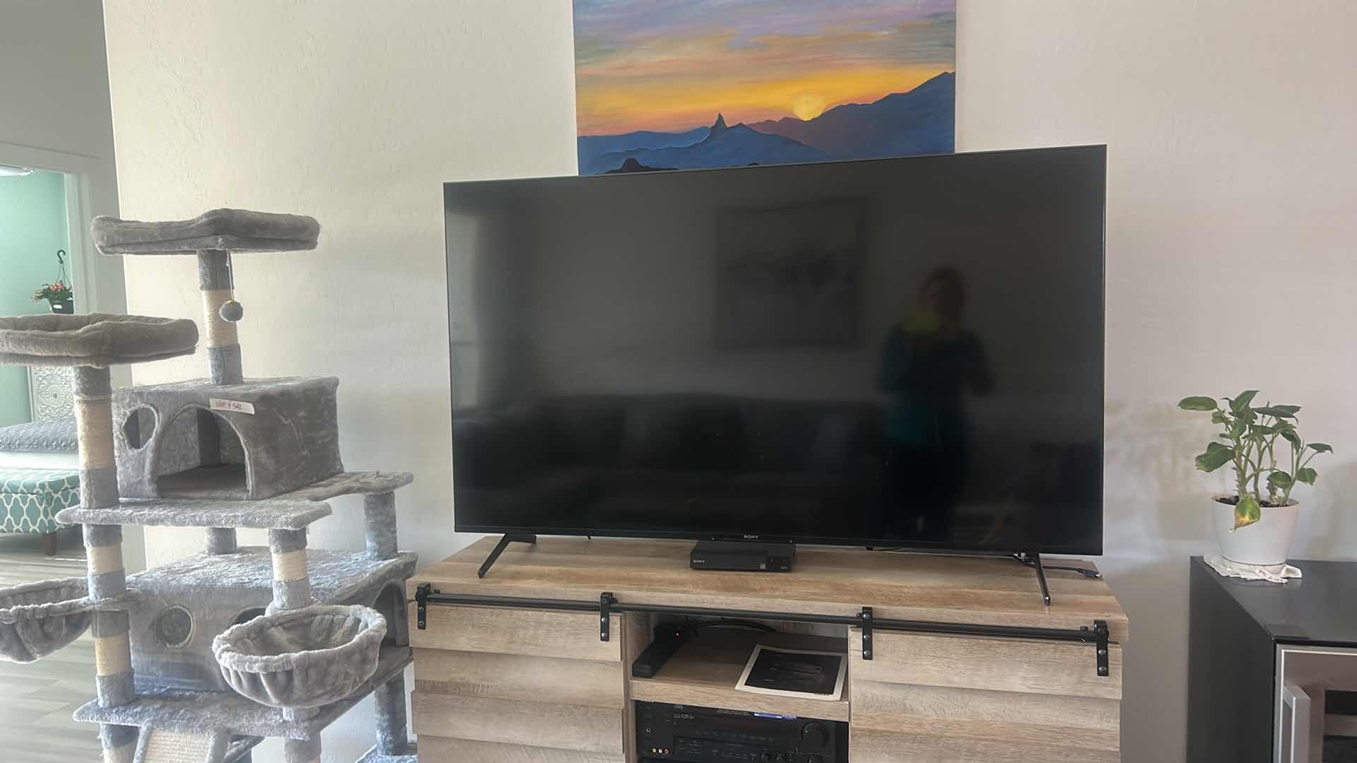 Photo 1 of 65” SONY TV