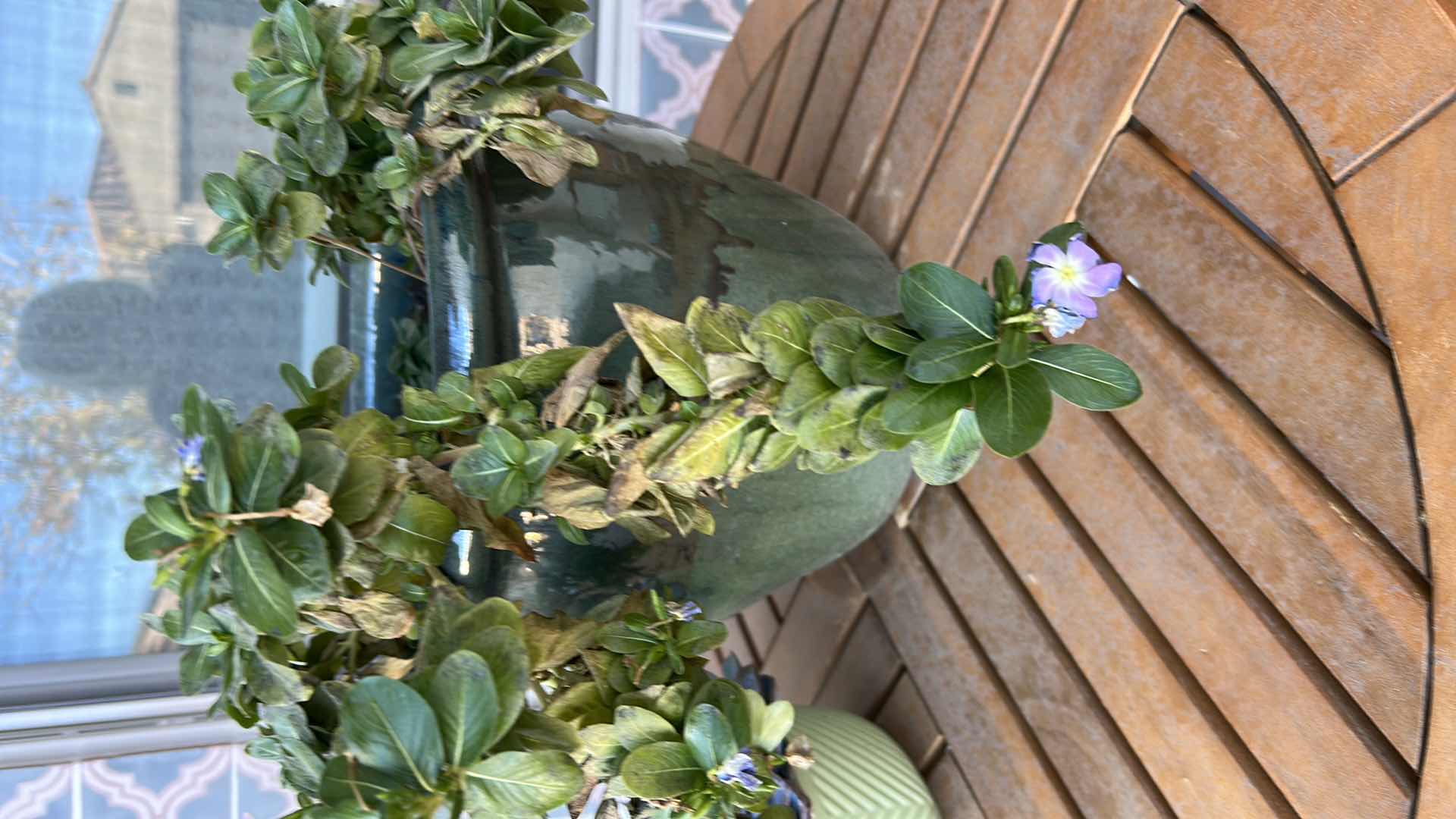 Photo 1 of 2- POTTED PLANTS