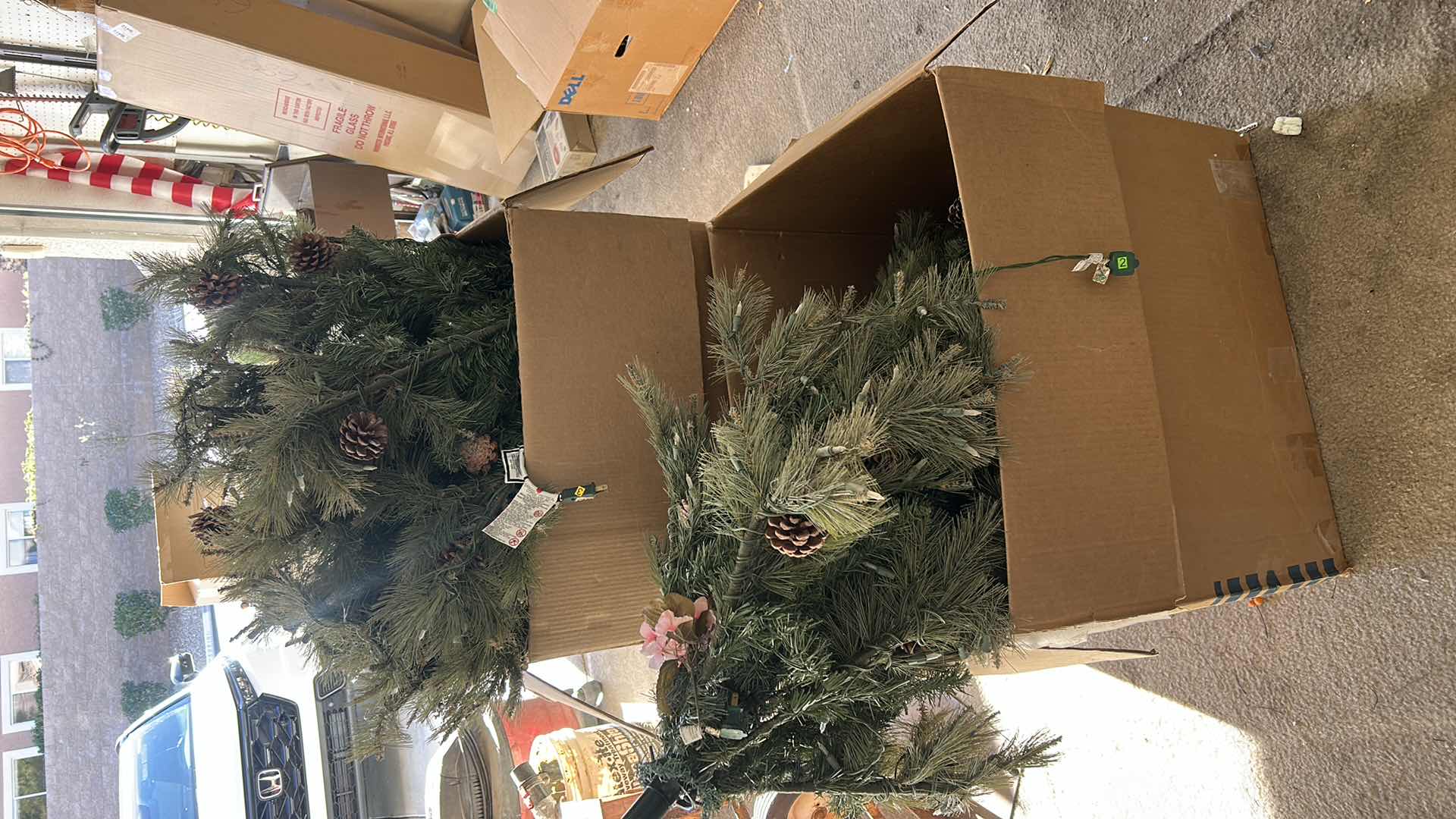 Photo 1 of CHRISTMAS TREE & CHRISTMAS DECOR