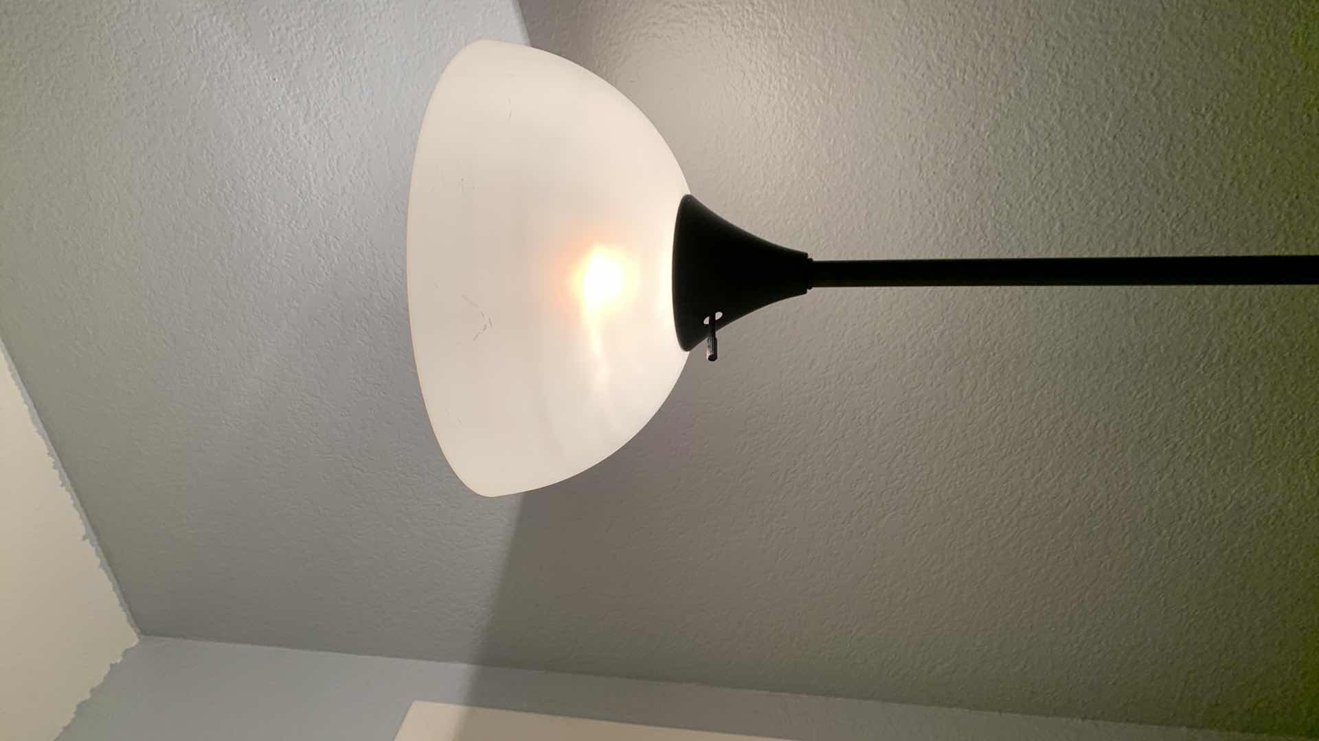 Photo 1 of BLACK FLOOR LAMP 71”