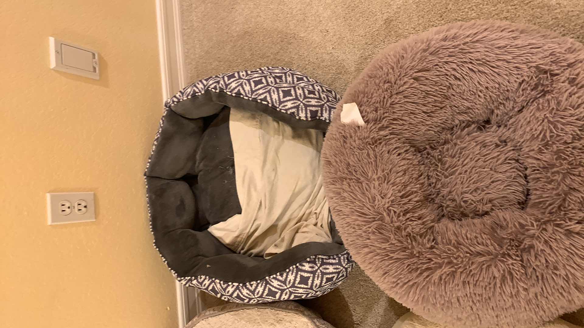 Photo 1 of 4-DOG BEDS