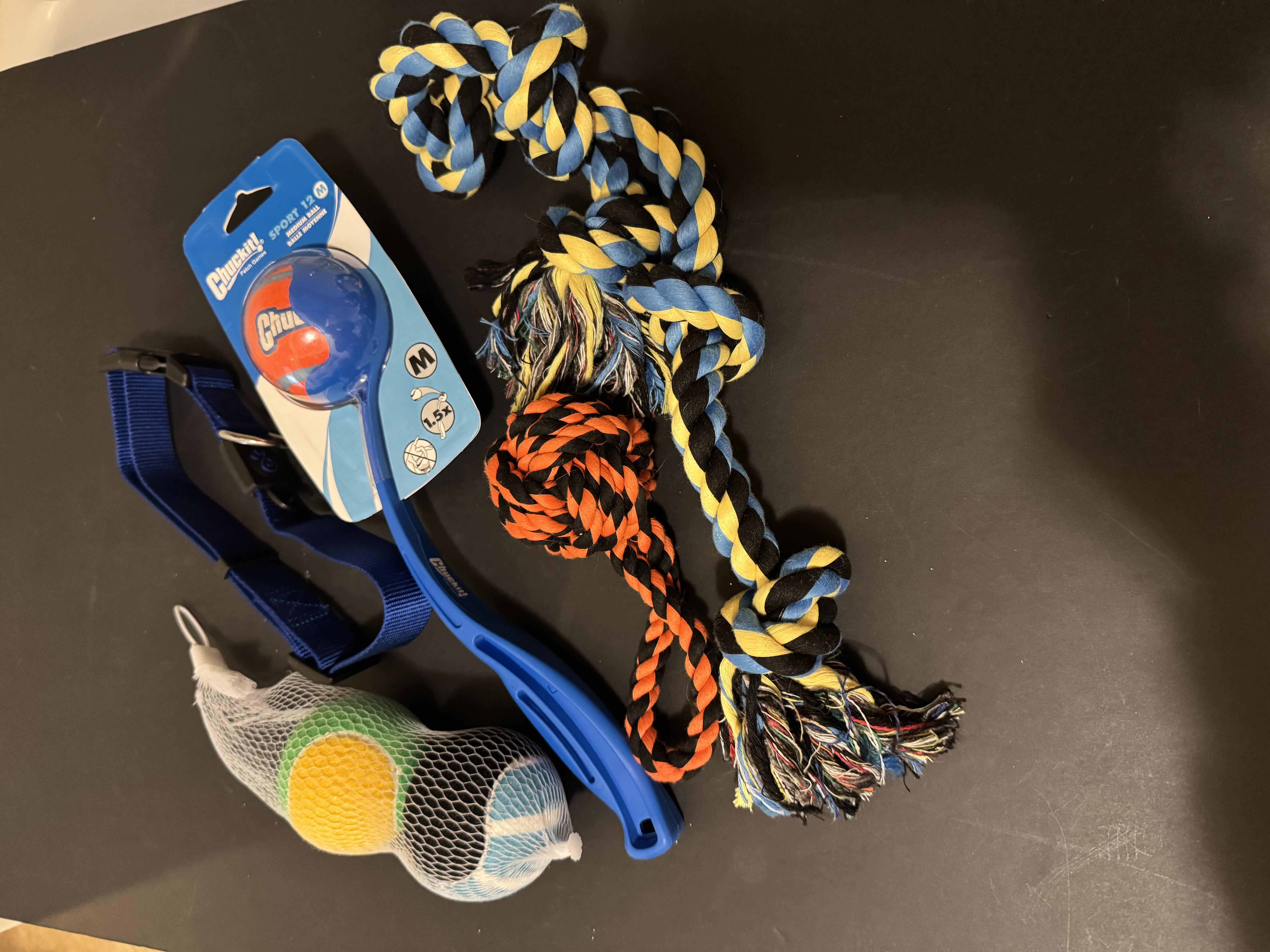 Photo 1 of 5 BRAND NEW DOG TOYS AND COLLAR