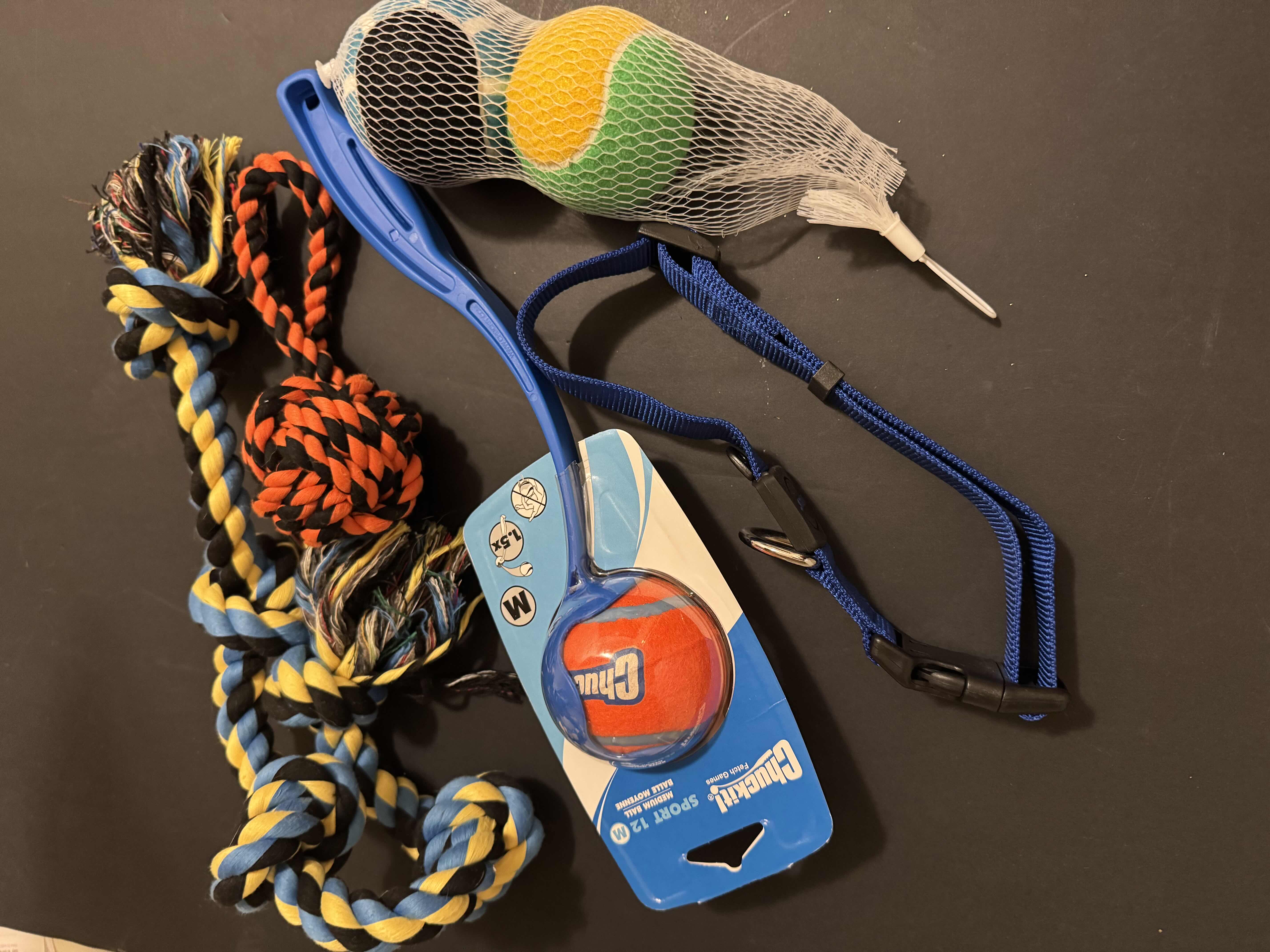 Photo 1 of 5 BRAND NEW DOG TOYS AND COLLAR