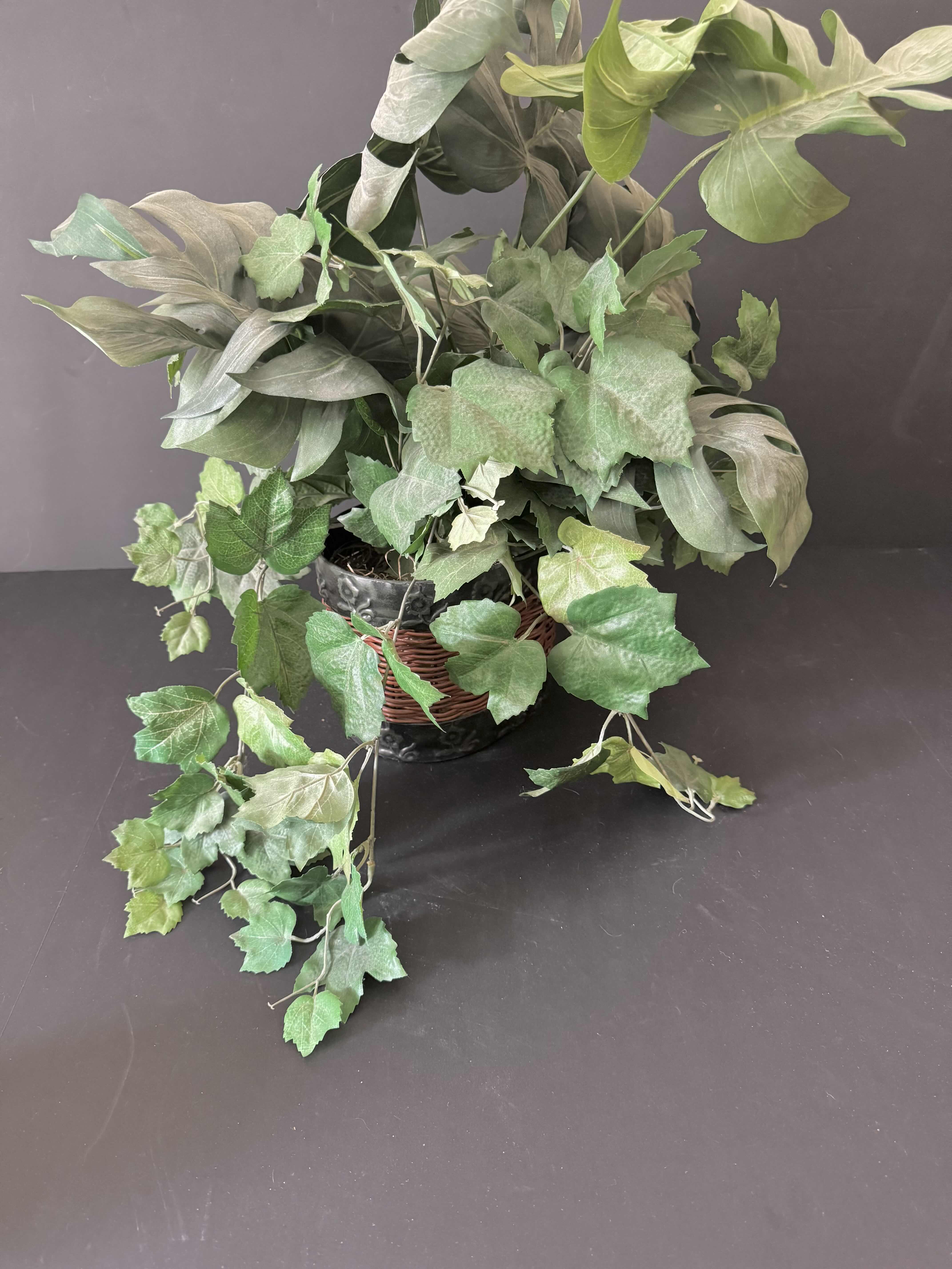 Photo 1 of HOME ESSENTIALS, HOME DECOR, FAUX PLANT, 2 CANDLES, 2 CANDLE PLATES. FAUX PLANT 20”H