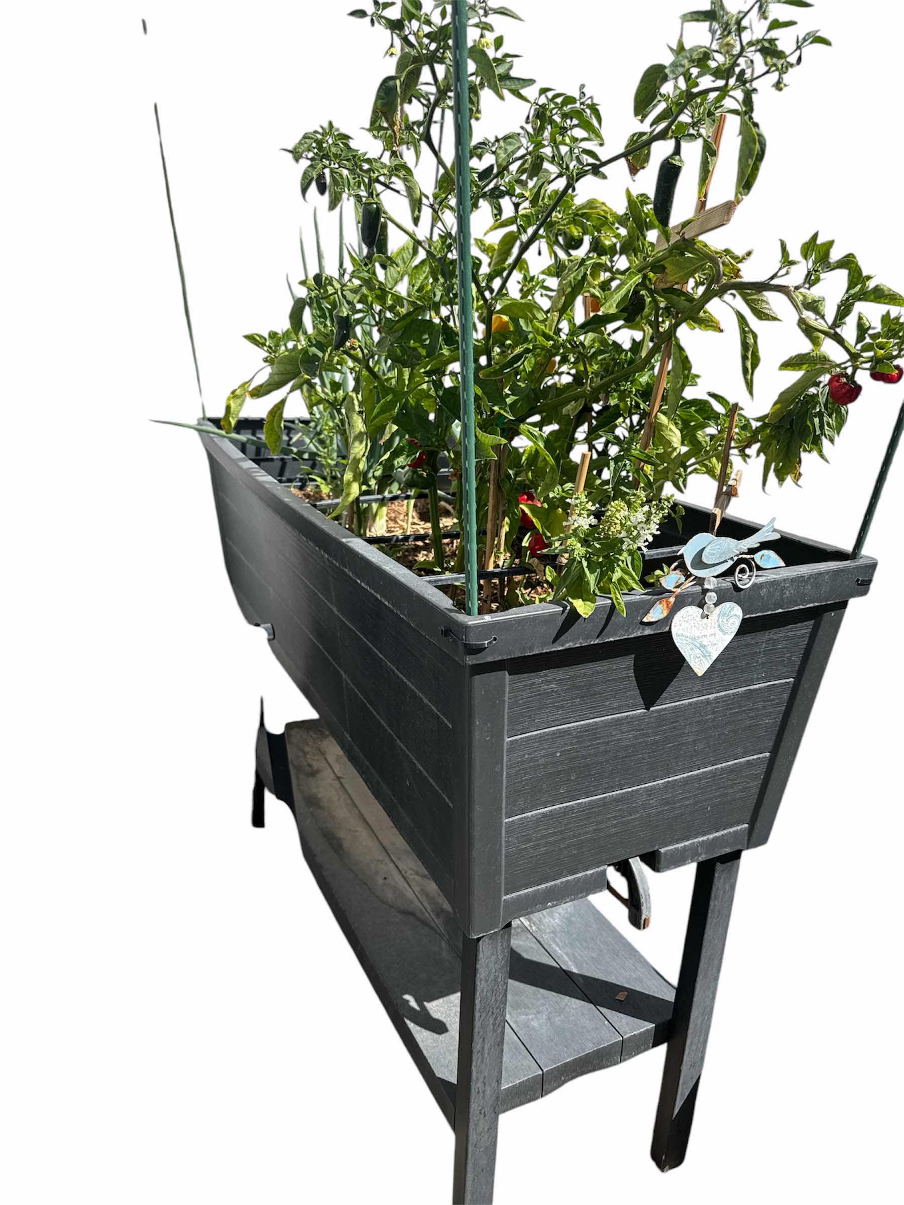 Photo 1 of BLACK RAISED GARDEN BED 45” X 18” H34”