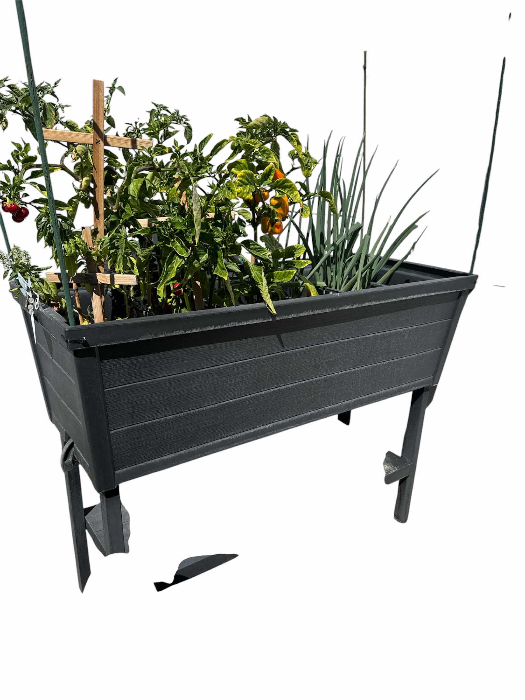 Photo 1 of BLACK RAISED GARDEN BED 45” X 18” H34”