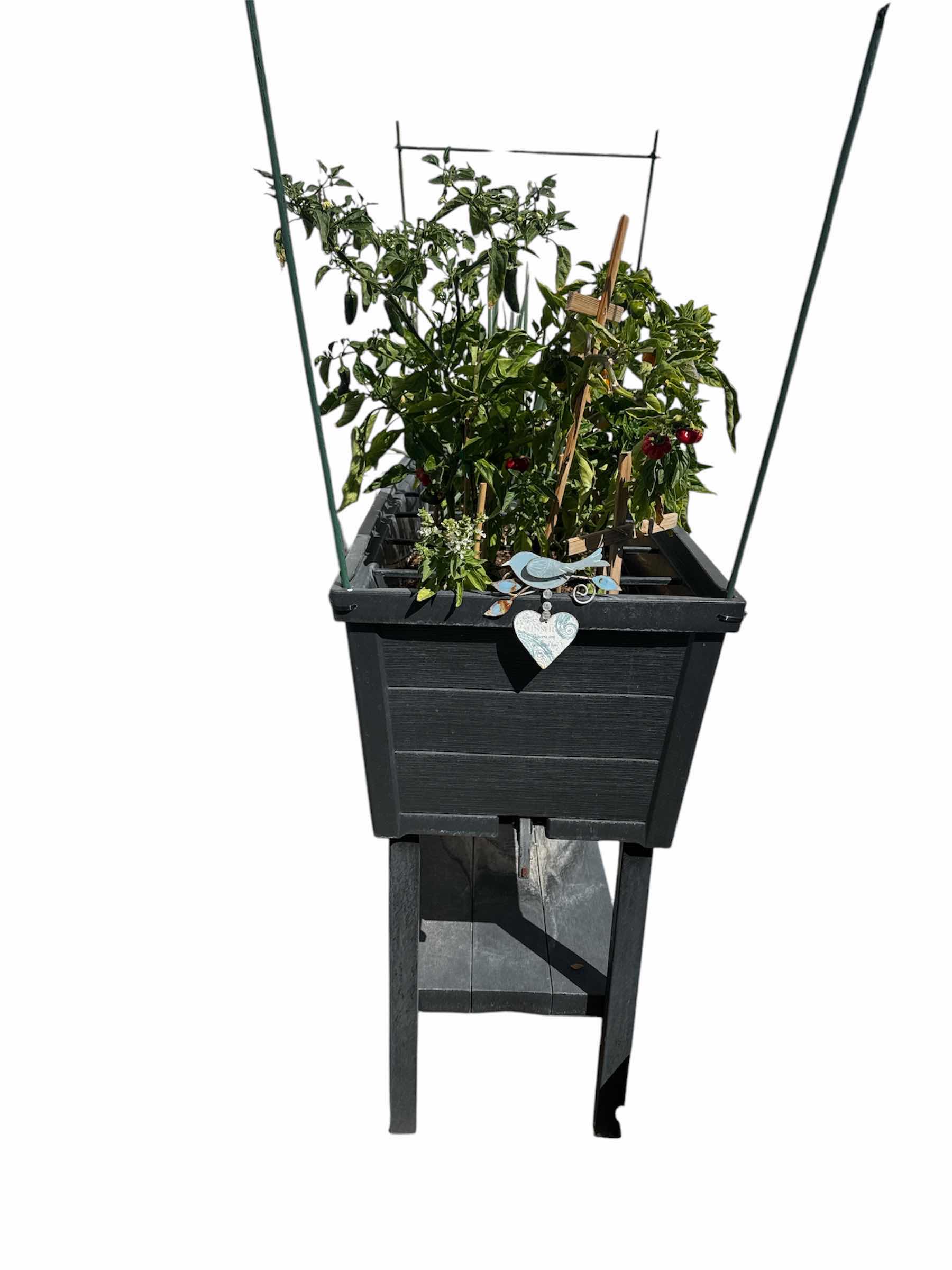 Photo 1 of BLACK RAISED GARDEN BED 45” X 18” H34”