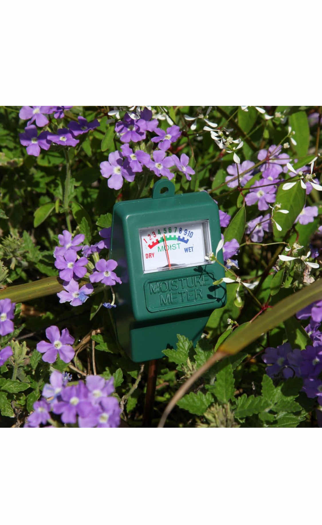 Photo 2 of BRAND NEW CASE OF HOME-X INDOOR/OUTDOOR MOISTURE SENSOR METER, GREEN
PRODUCT DIMENSIONS 

11"x 2.25". STAKE MEASURES 7.5"