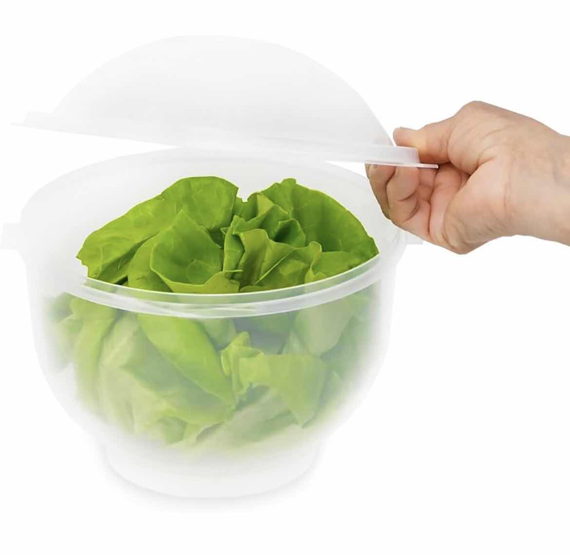 Photo 1 of CASE OF 6 LETTUCE KEEPER - BPA-FREE LETTUCE KEEPER FOR REFRIGERATOR TO KEEP SALADS AND VEGETABLES FRESH - 7" X 8" LETTUCE CRISPER WITH DRAINAGE RESERVOIR - CLEAR SEE-THROUGH VEGETABLE AND FRUIT CRISPER