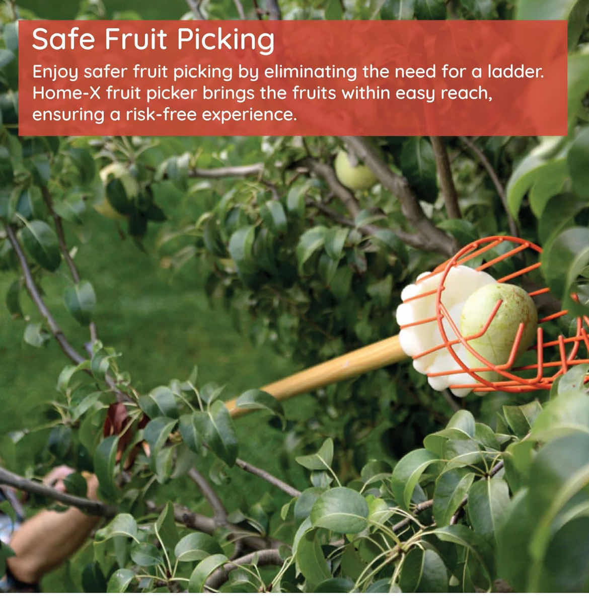 Photo 1 of 2-HOME-X FRUIT PICKER BASKET - STURDY FRUIT TREE PICKER TOOL WITH ADJUSTABLE KNOB - APPLE PICKER FRUIT GRABBER REACH TOOL FOR ORANGE, AVOCADO , PEACH, PEAR AND LEMON (POLE NOT INCLUDED)30.00