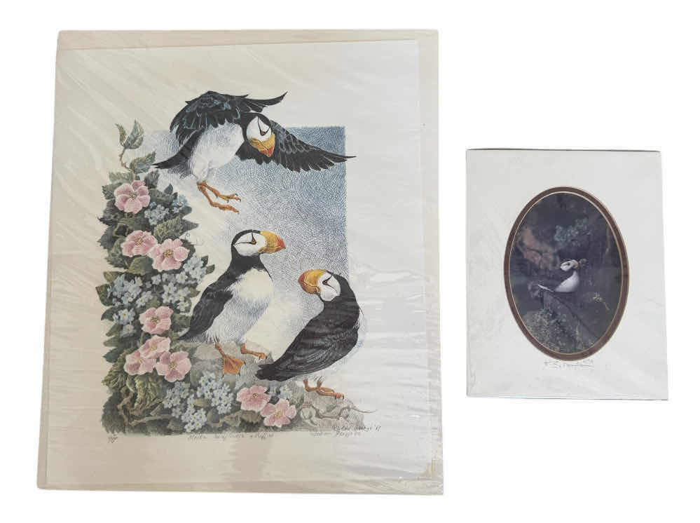 Photo 1 of 190
VINTAGE SIGNED ALASKA WILDFLOWERS + PUFFINS, JOANN GEORGE, 1987. NUMBERED 402/500
AND 1992 ALASKA PUFFIN BY BRIAN MECHANIC. ARTWORK, HOME DECOR, ART COLLECTION

16” X 19” X H.25”