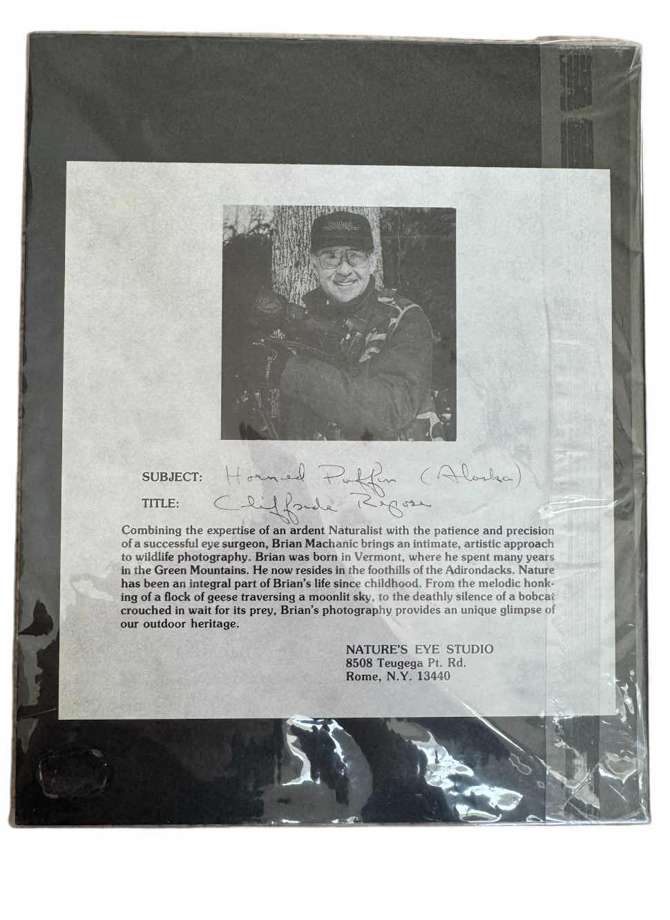 Photo 1 of 190
VINTAGE SIGNED ALASKA WILDFLOWERS + PUFFINS, JOANN GEORGE, 1987. NUMBERED 402/500
AND 1992 ALASKA PUFFIN BY BRIAN MECHANIC. ARTWORK, HOME DECOR, ART COLLECTION

16” X 19” X H.25”