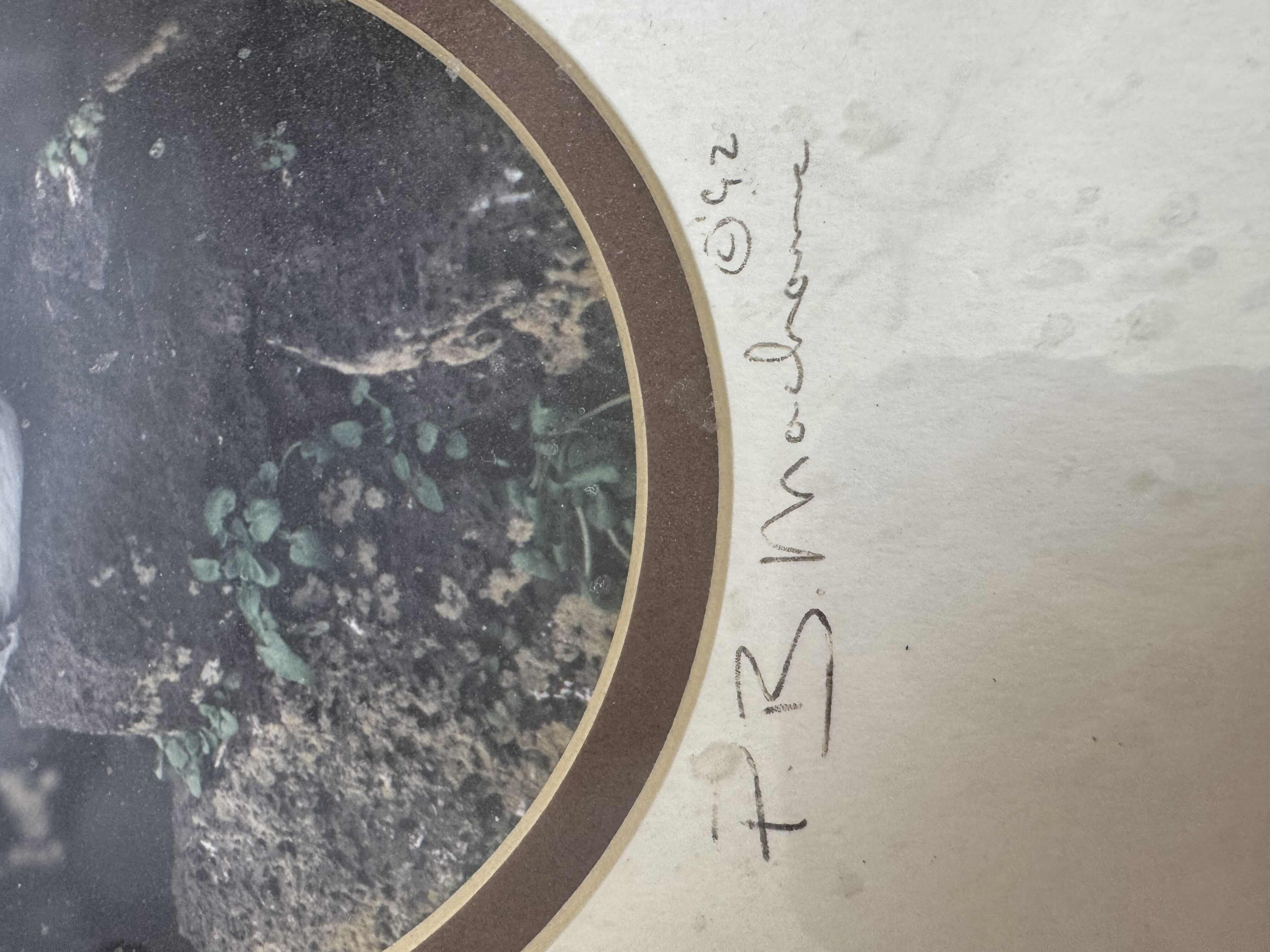 Photo 8 of 190
VINTAGE SIGNED ALASKA WILDFLOWERS + PUFFINS, JOANN GEORGE, 1987. NUMBERED 402/500
AND 1992 ALASKA PUFFIN BY BRIAN MECHANIC. ARTWORK, HOME DECOR, ART COLLECTION

16” X 19” X H.25”