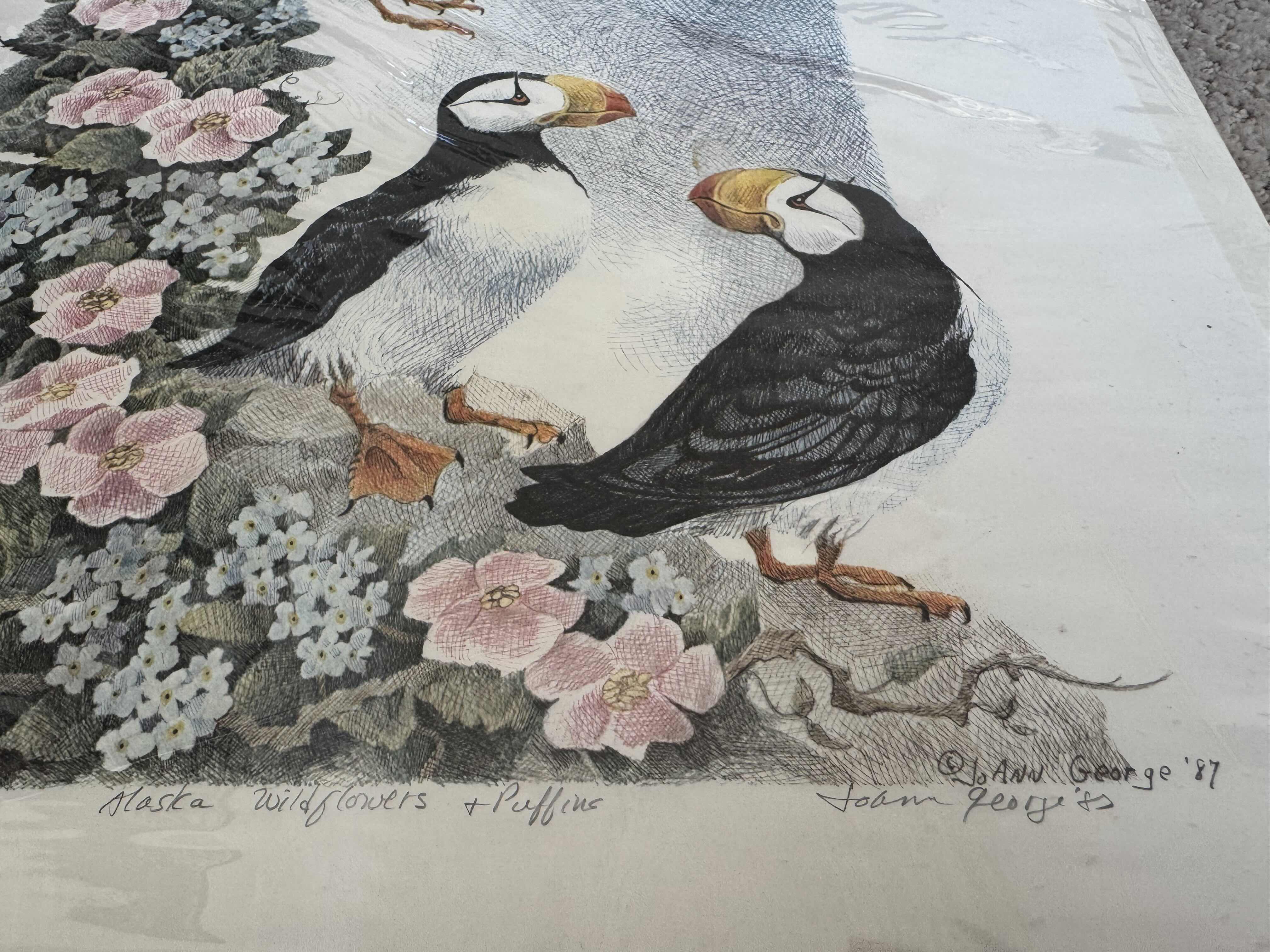 Photo 4 of 190
VINTAGE SIGNED ALASKA WILDFLOWERS + PUFFINS, JOANN GEORGE, 1987. NUMBERED 402/500
AND 1992 ALASKA PUFFIN BY BRIAN MECHANIC. ARTWORK, HOME DECOR, ART COLLECTION

16” X 19” X H.25”