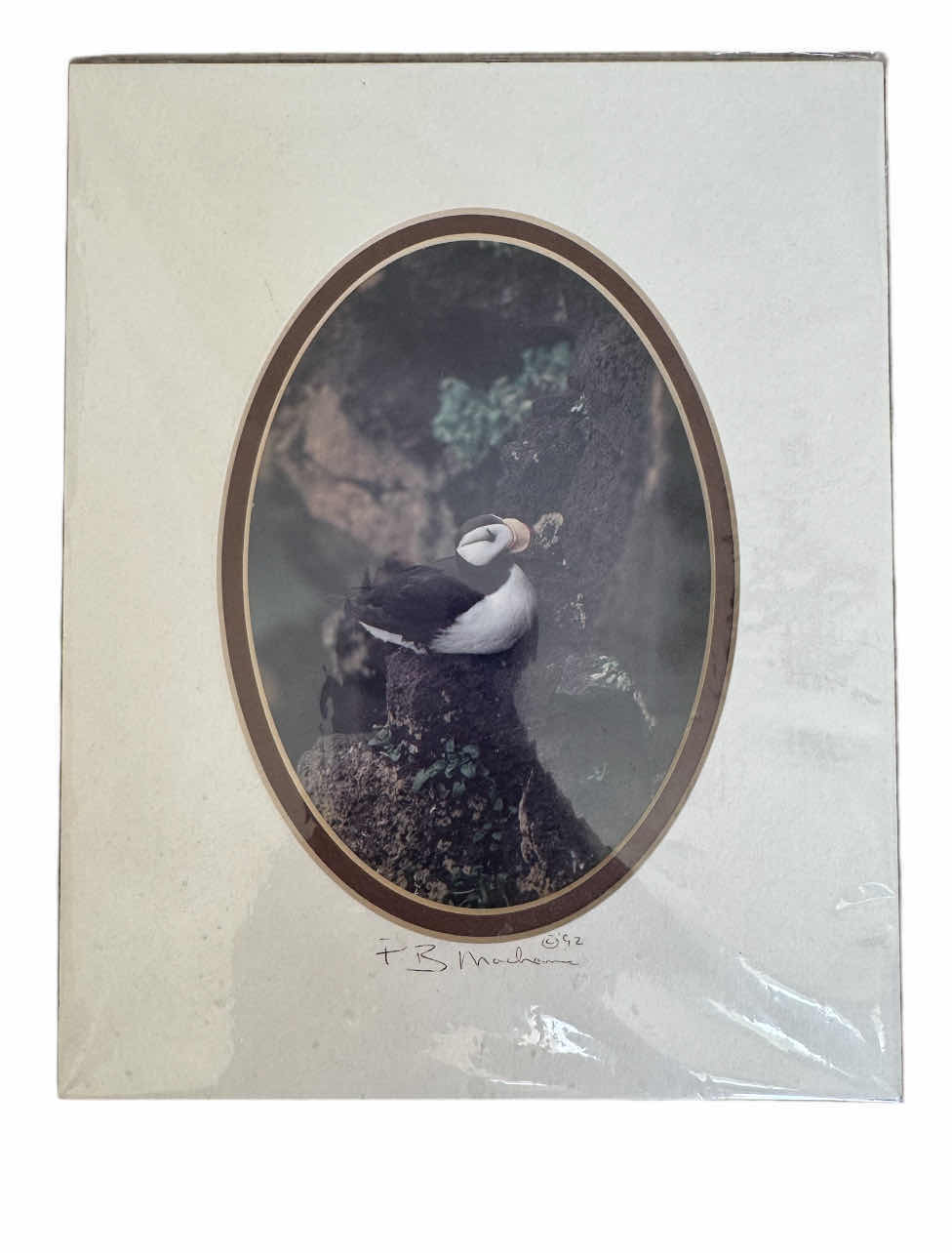 Photo 6 of 190
VINTAGE SIGNED ALASKA WILDFLOWERS + PUFFINS, JOANN GEORGE, 1987. NUMBERED 402/500
AND 1992 ALASKA PUFFIN BY BRIAN MECHANIC. ARTWORK, HOME DECOR, ART COLLECTION

16” X 19” X H.25”