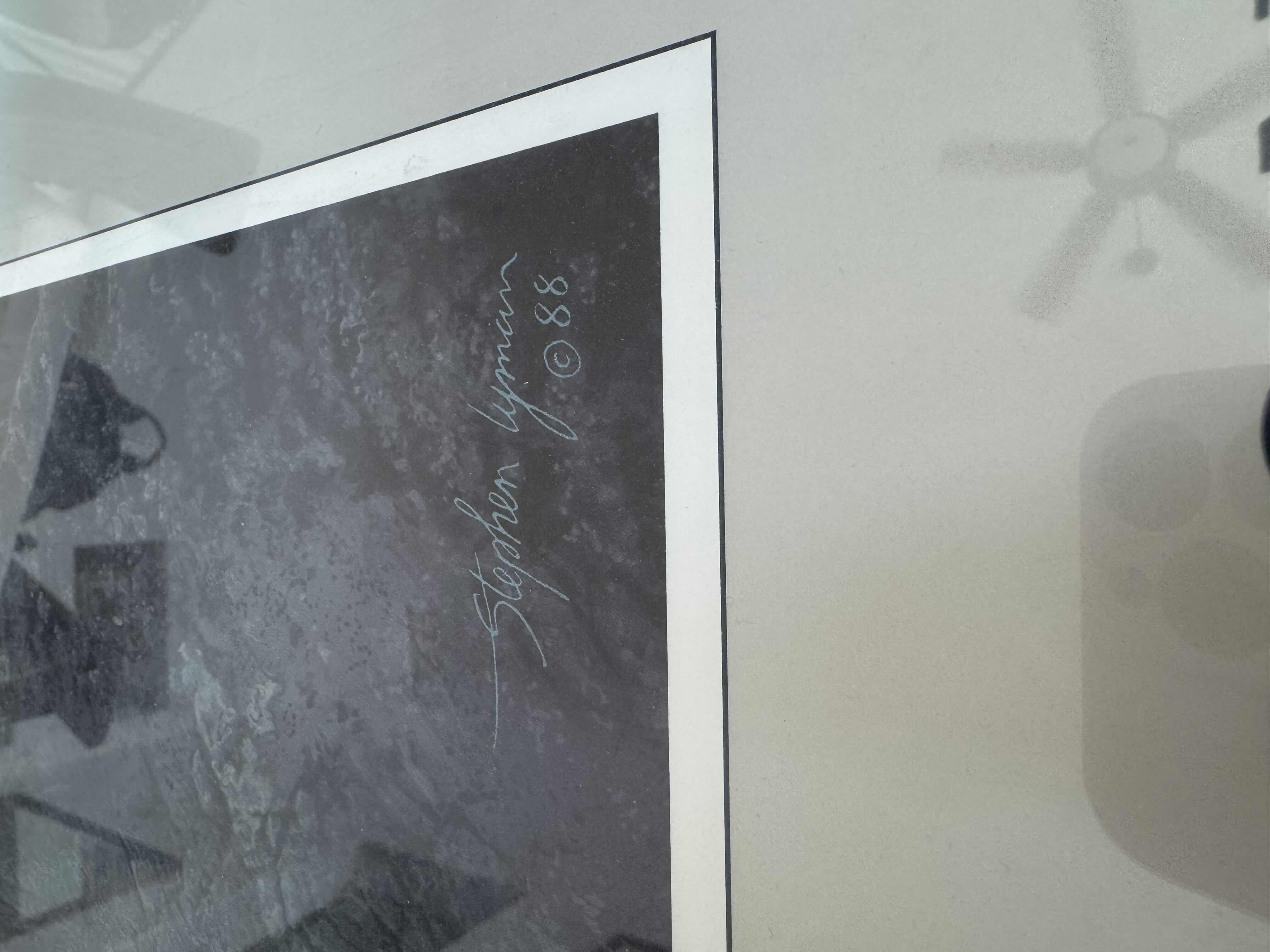 Photo 1 of 175
VINTAGE WOOD FRAMED ARTWORK, “RETURN OF THE FALCON” YOSEMITE ASSOCIATION PROTECTING YOSEMITE NATIONAL PARK AND ITS WILDLIFE RESIDENTS BY STEPHEN LYMAN, 1988. 

28” X 40” X H2”